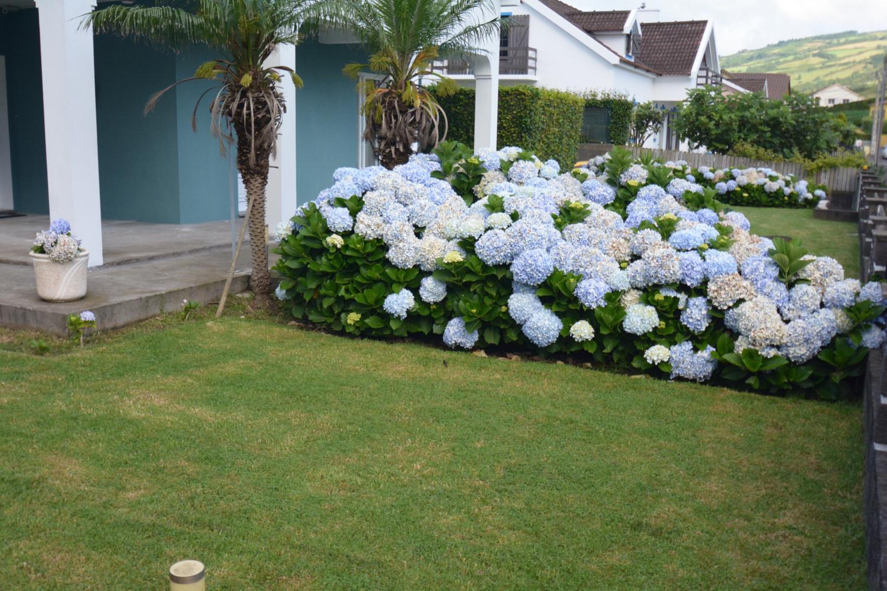 Casinha das Hortênsias view 4