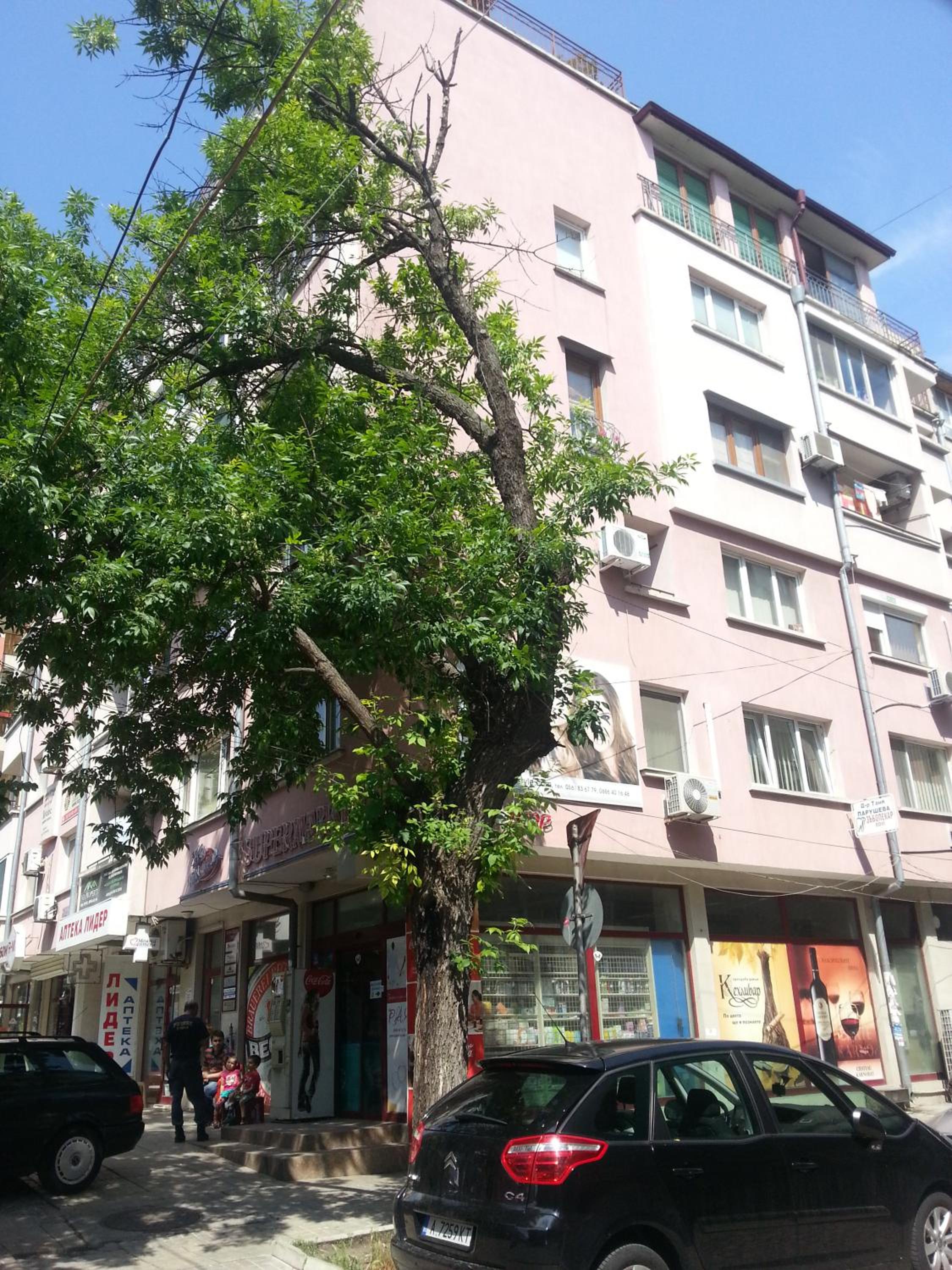 Photo 15