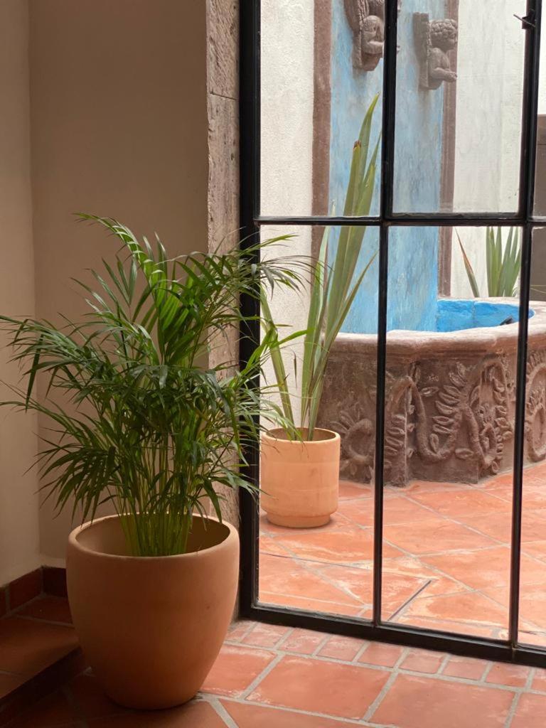 Casa Laberinto