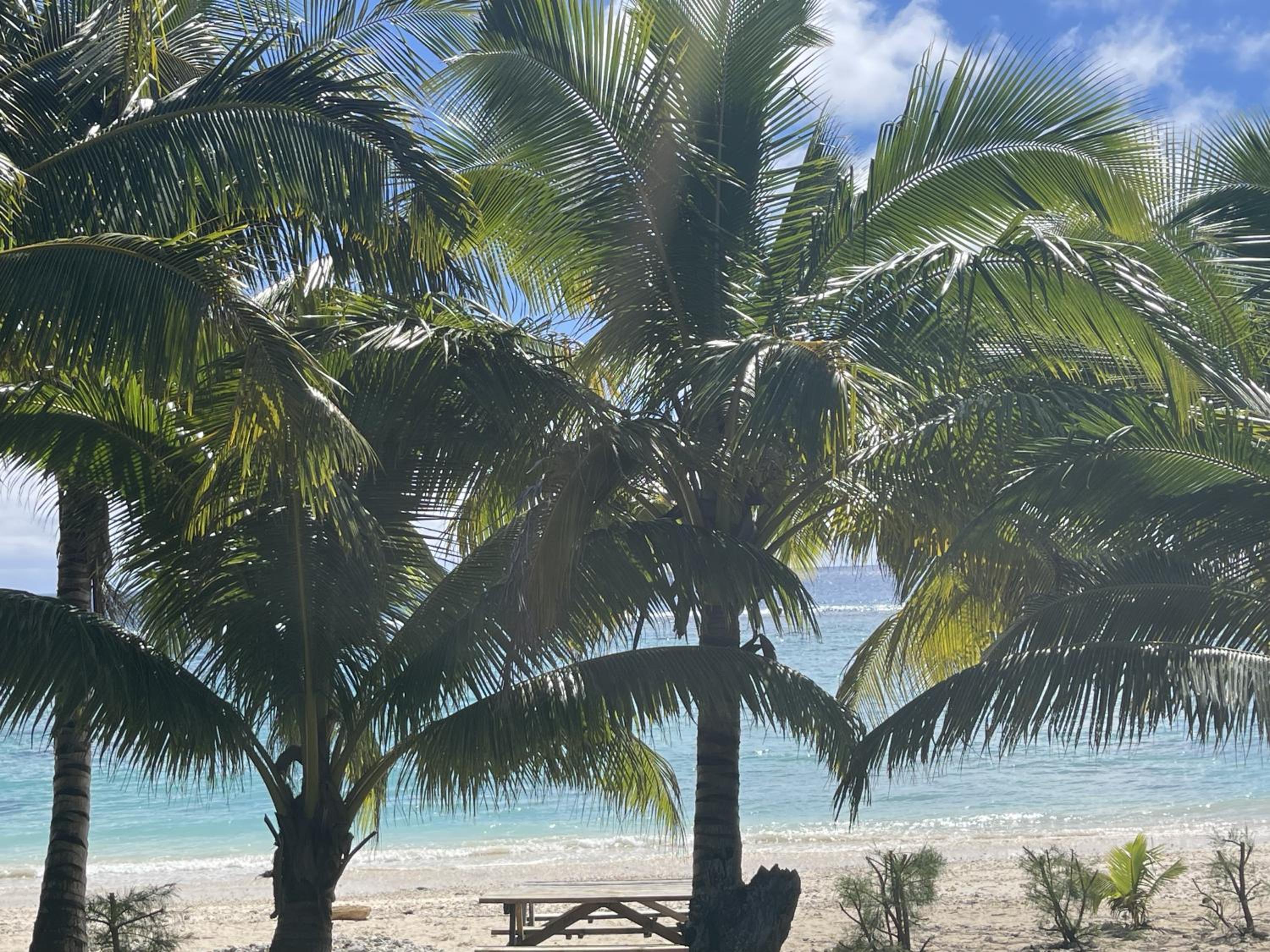 Rarotonga Villas Absolute Beachfront