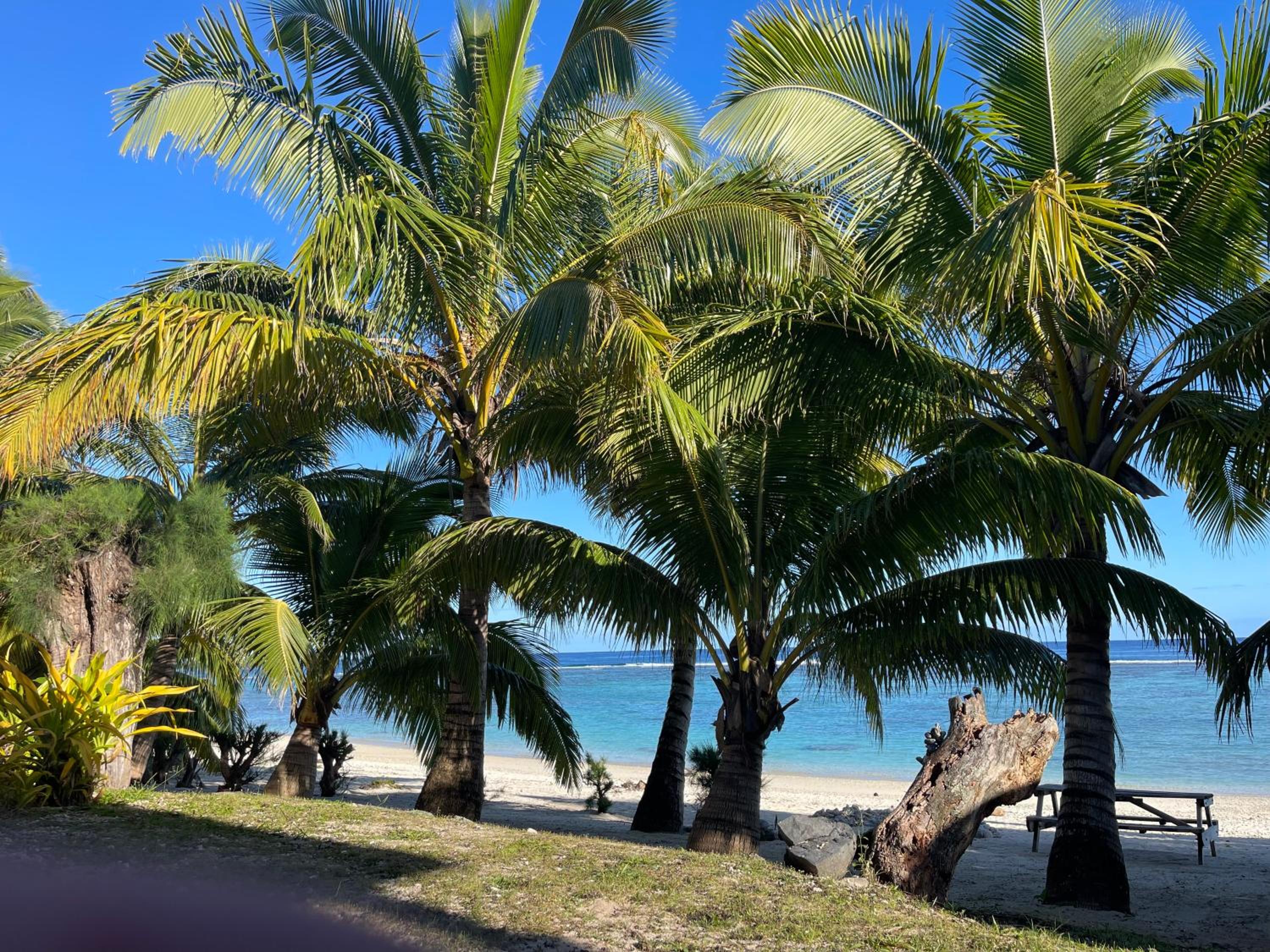 Rarotonga Villas Absolute Beachfront