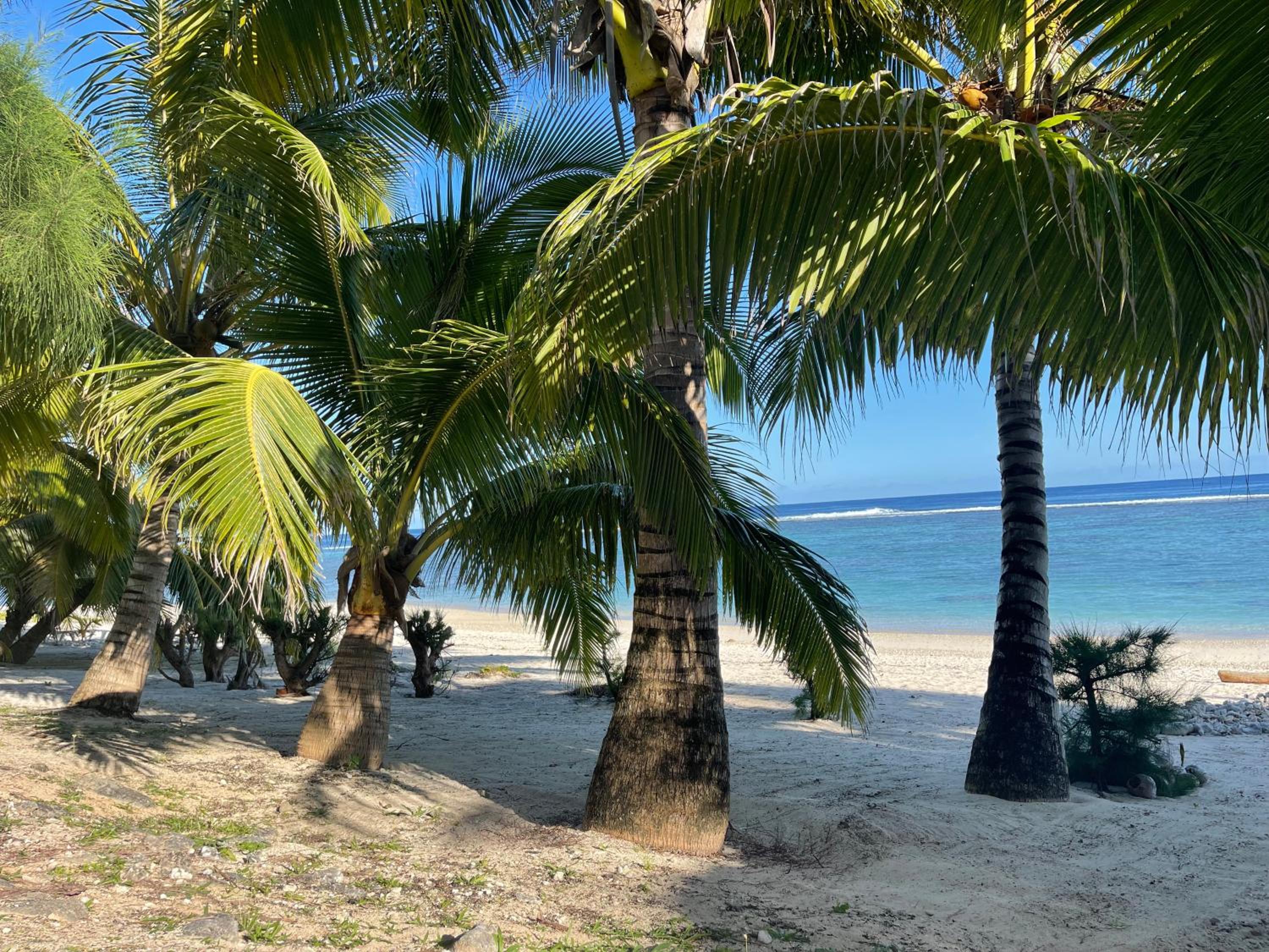 Rarotonga Villas Absolute Beachfront