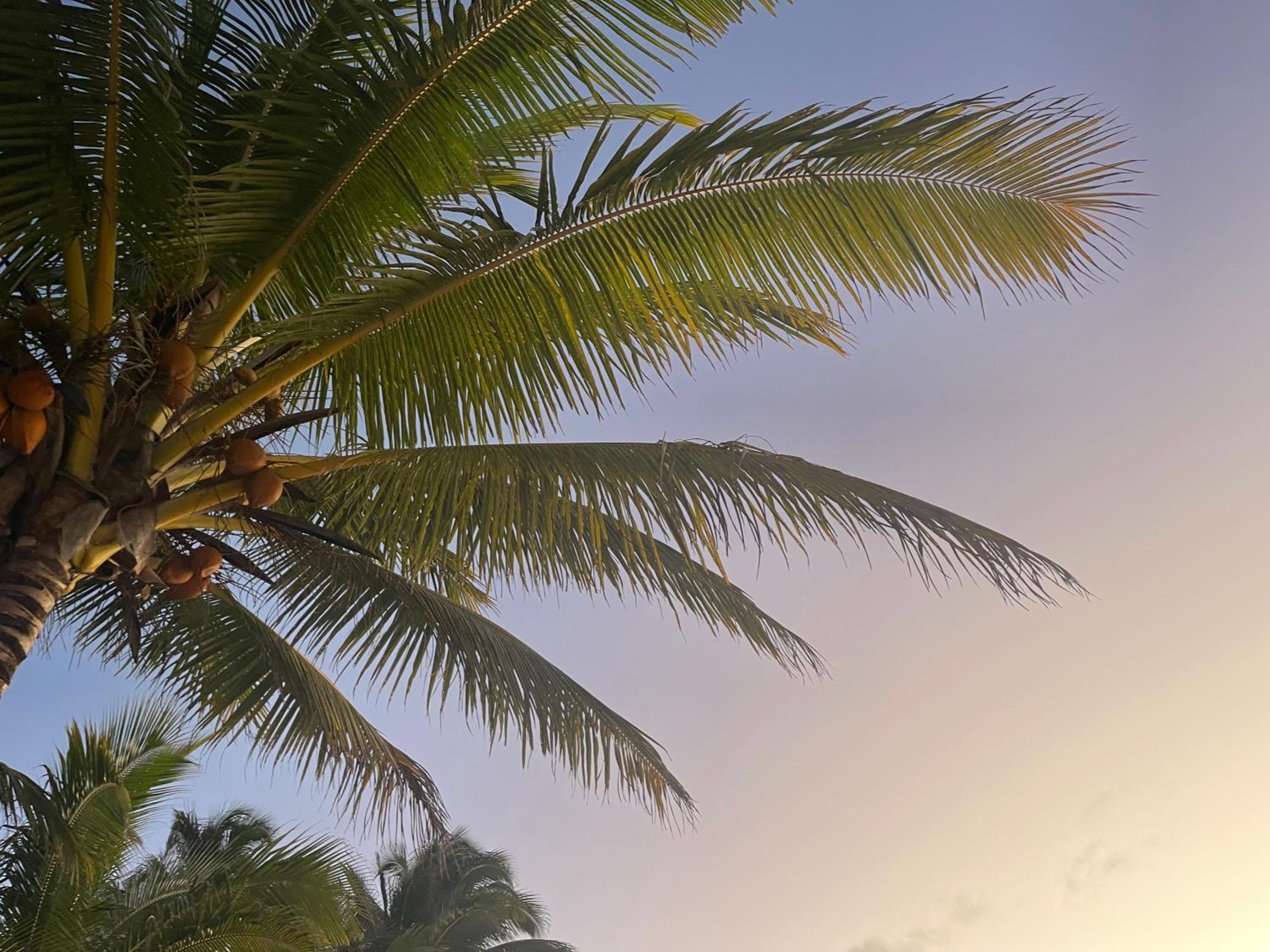 Rarotonga Villas Absolute Beachfront