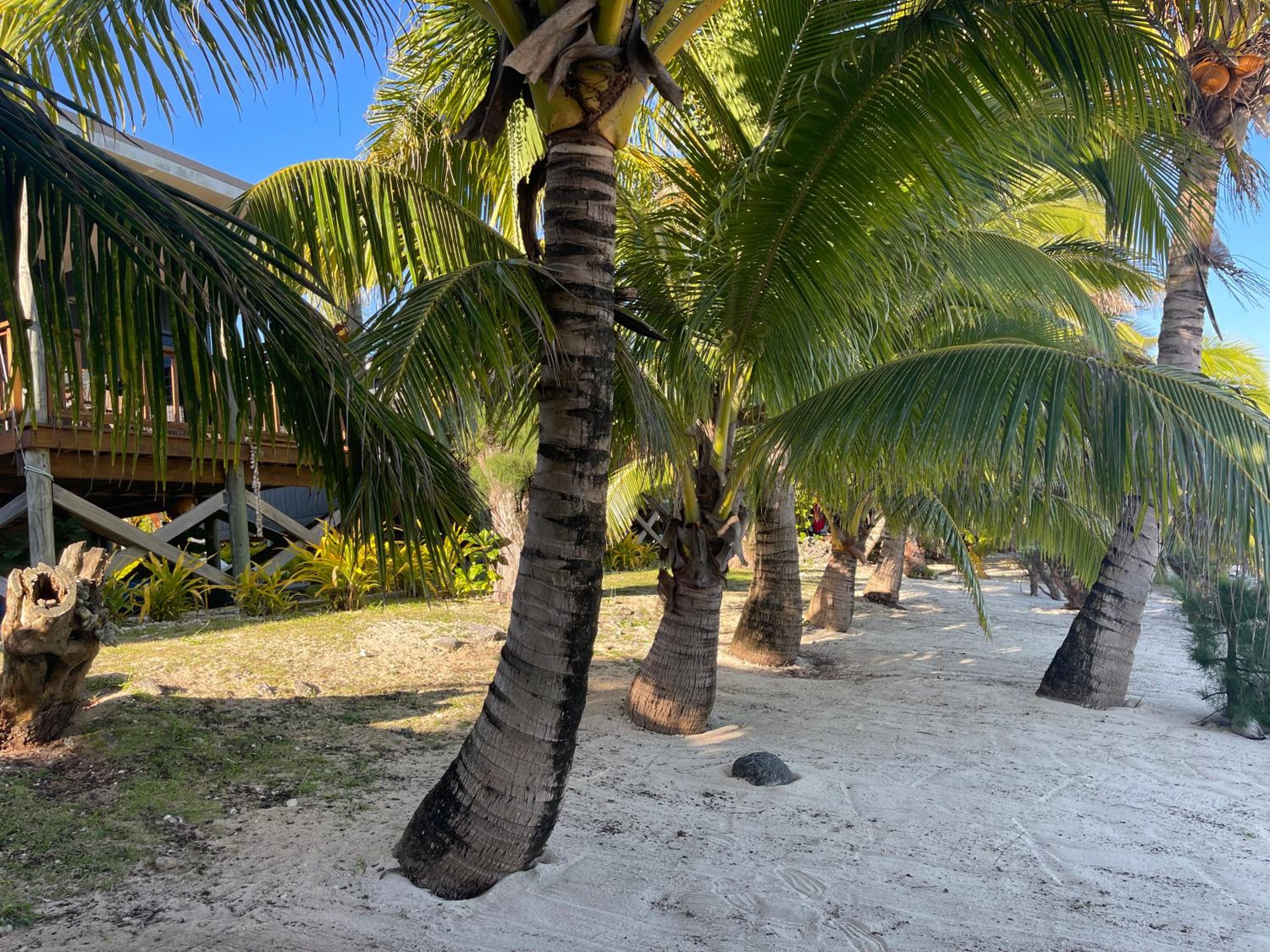 Rarotonga Villas Absolute Beachfront