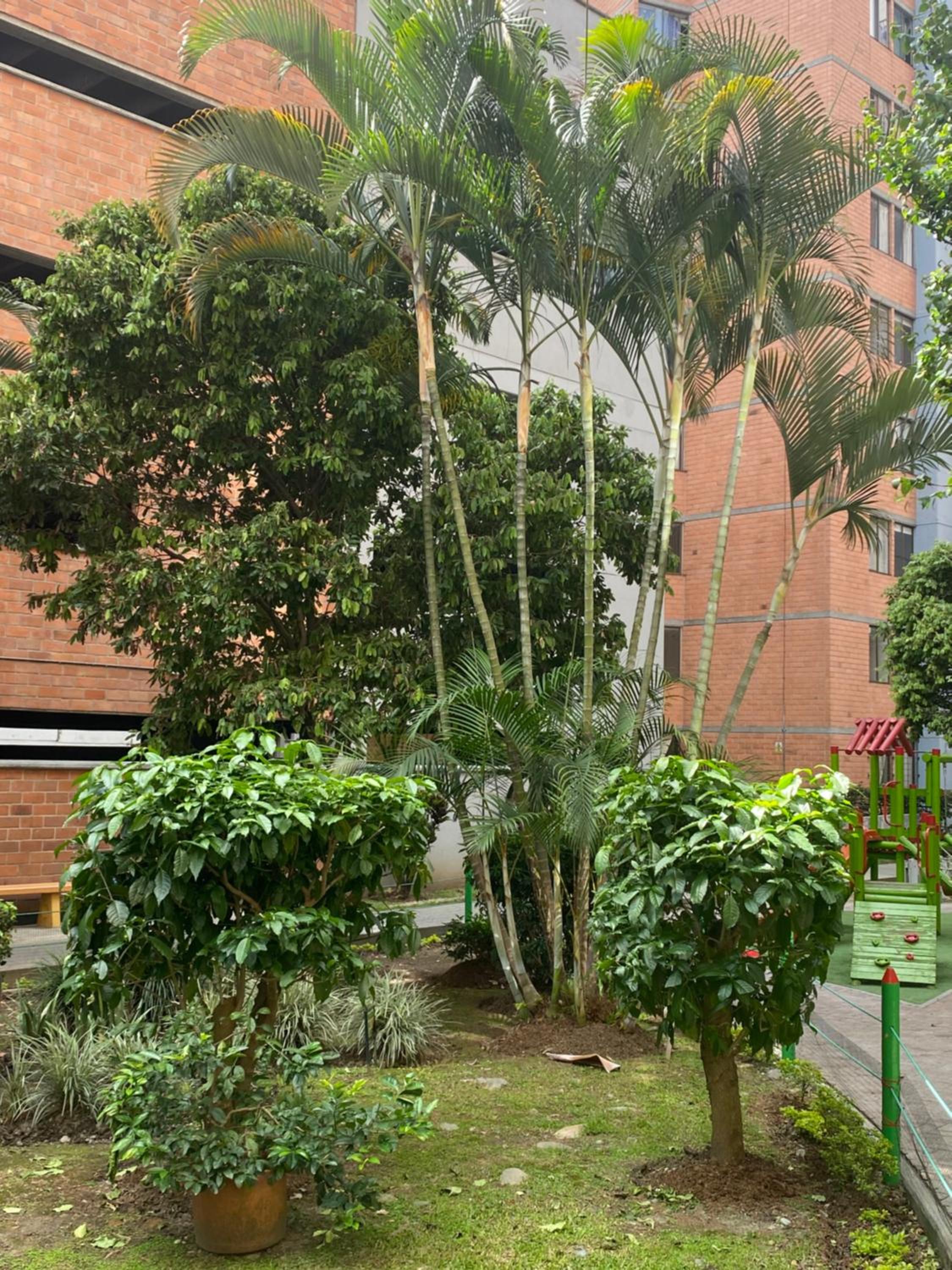 La Sabana - Property Image 1