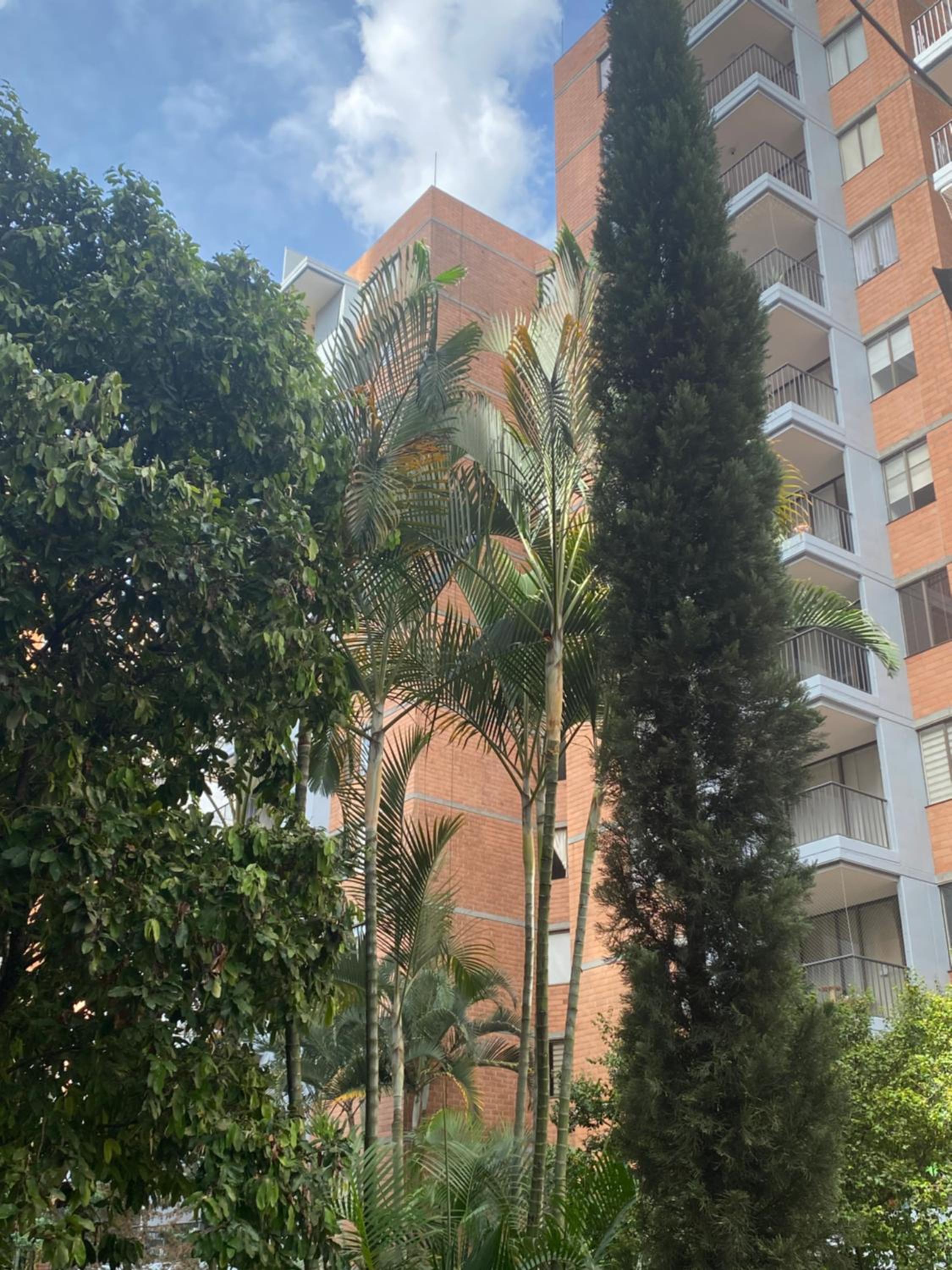 La Sabana - Property Image 3