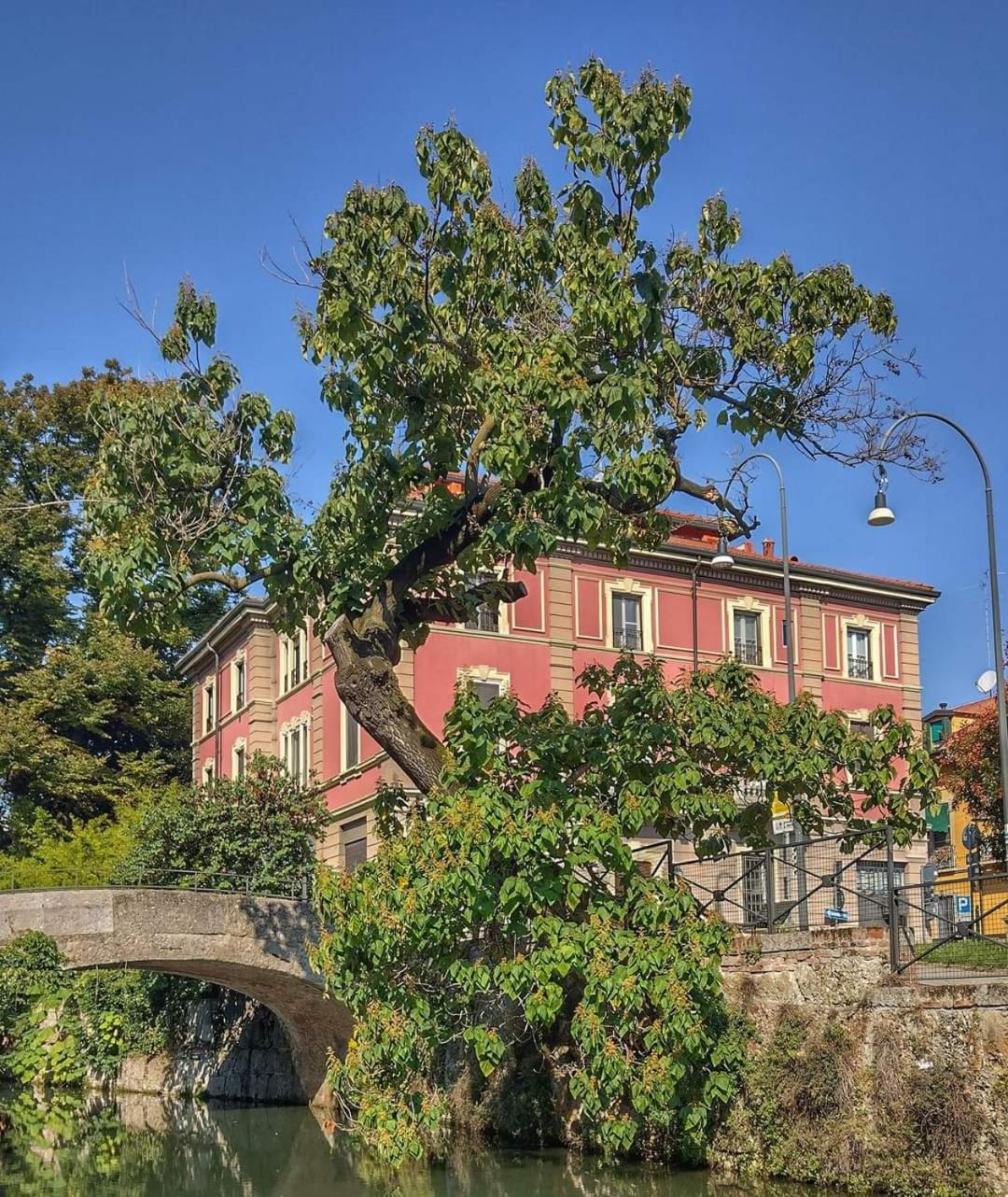 Trilocale in Villa signorile