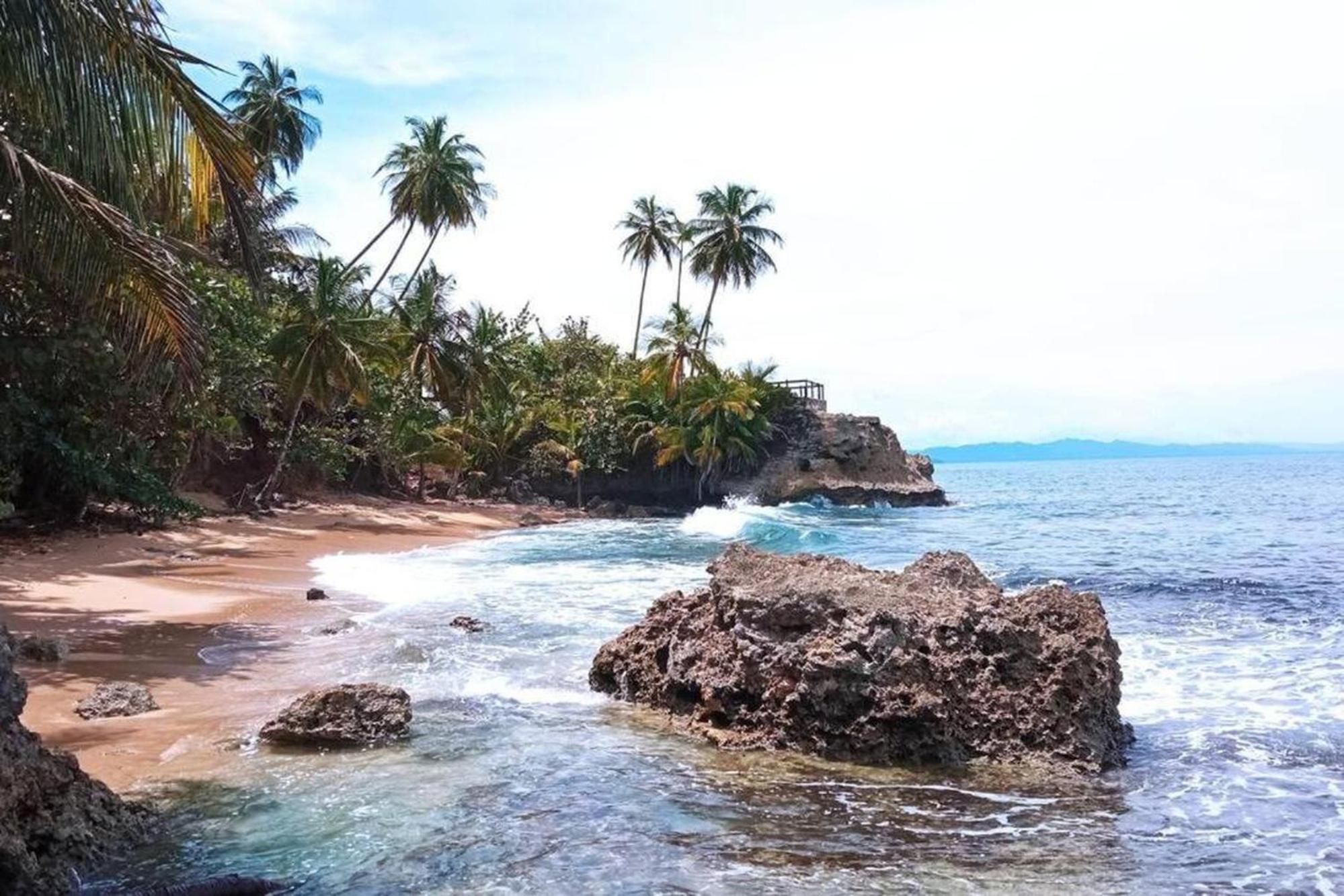 El Tucan Feliz - Boho Jungle Tiny Guest House & Mini Pool Oasis