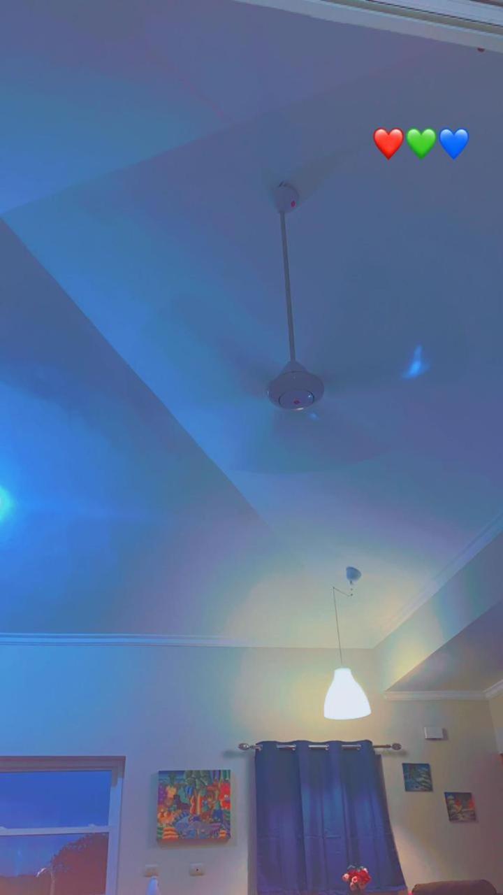 Ocean One