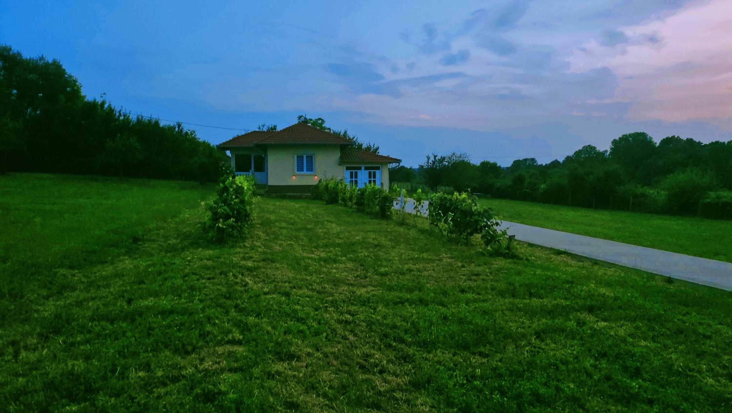 Photo 8