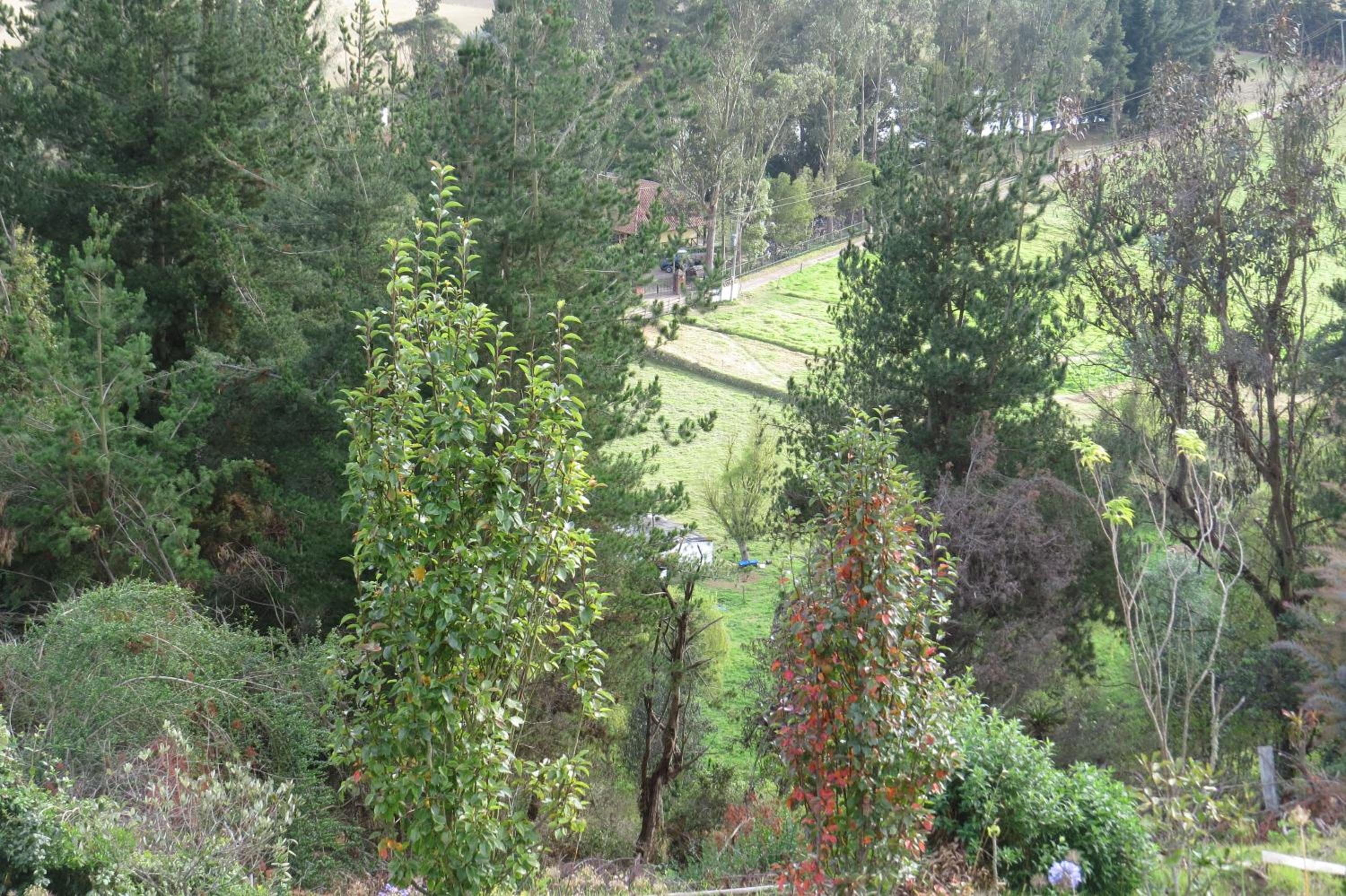 El Pedregal Sopó