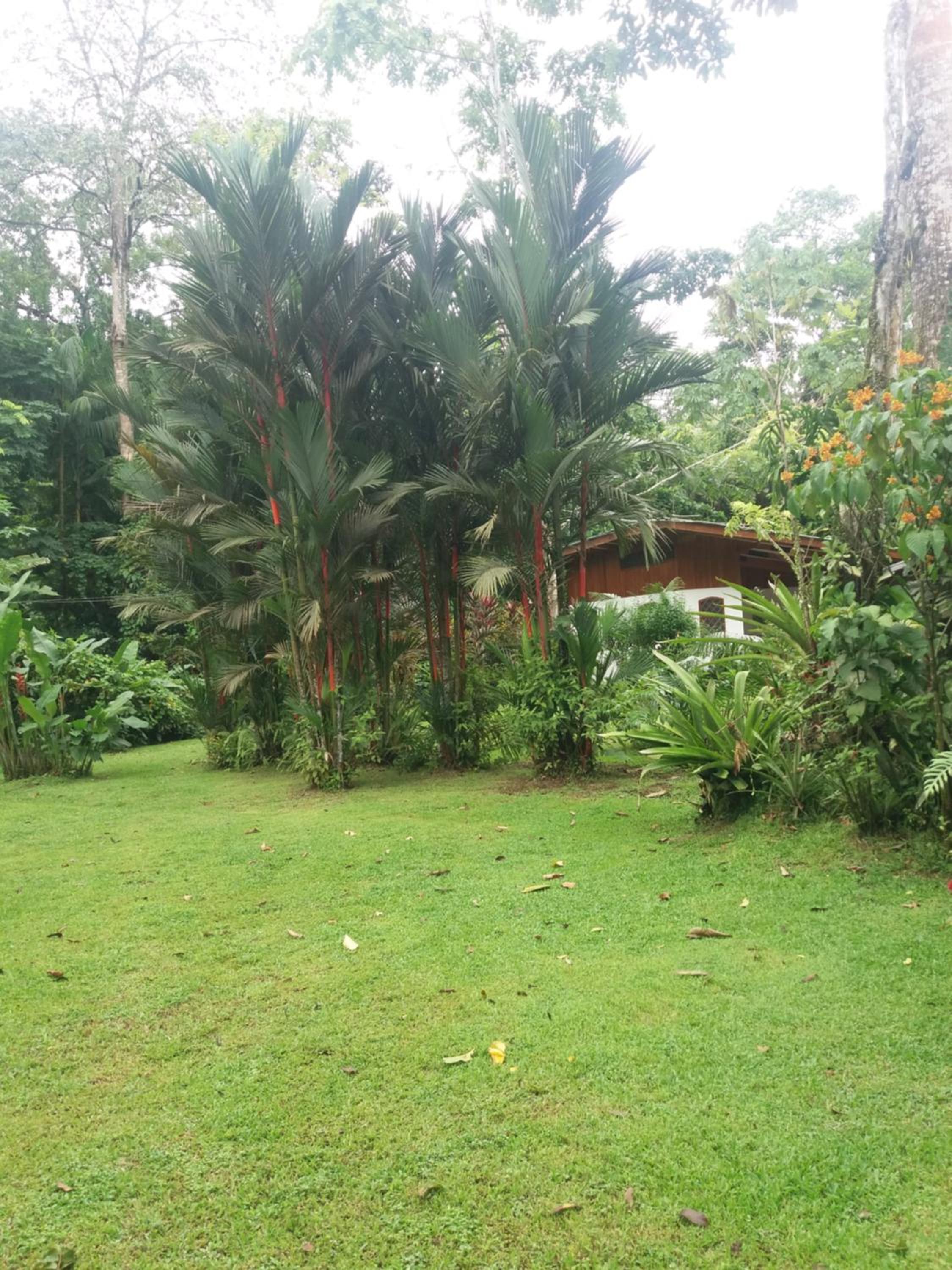 Los Delfines Lodge