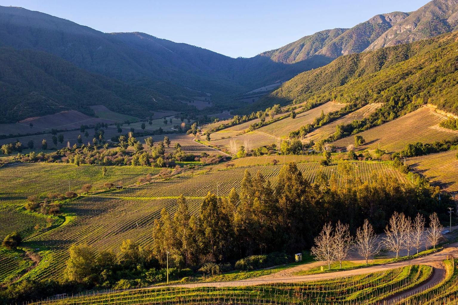 Cabaña del Vino