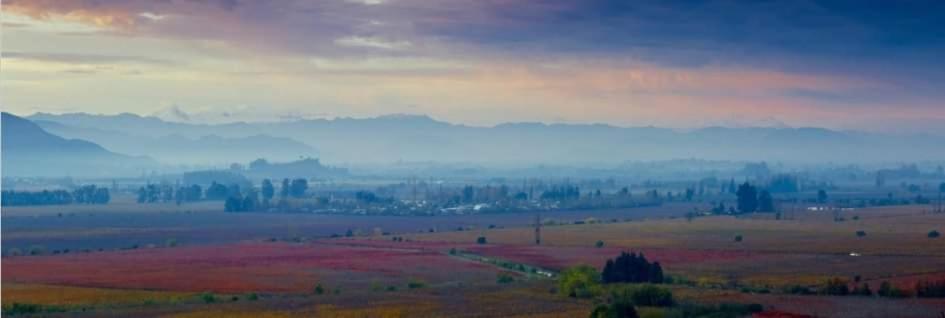 Cabaña del Vino