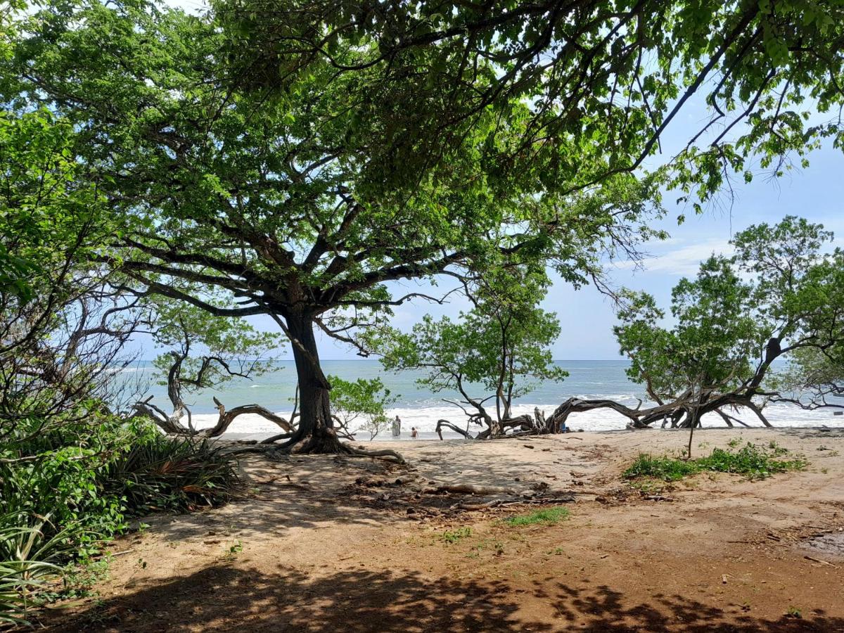 children's play area