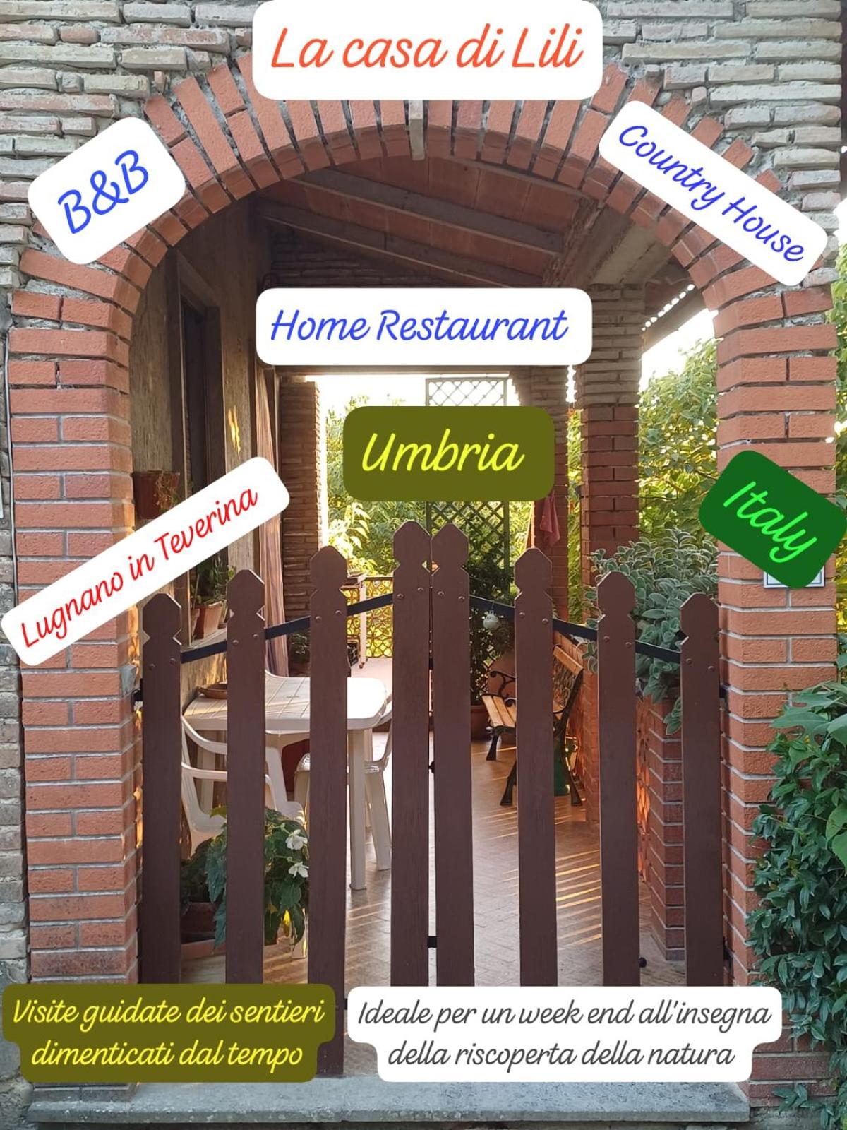 La casa di Lili
