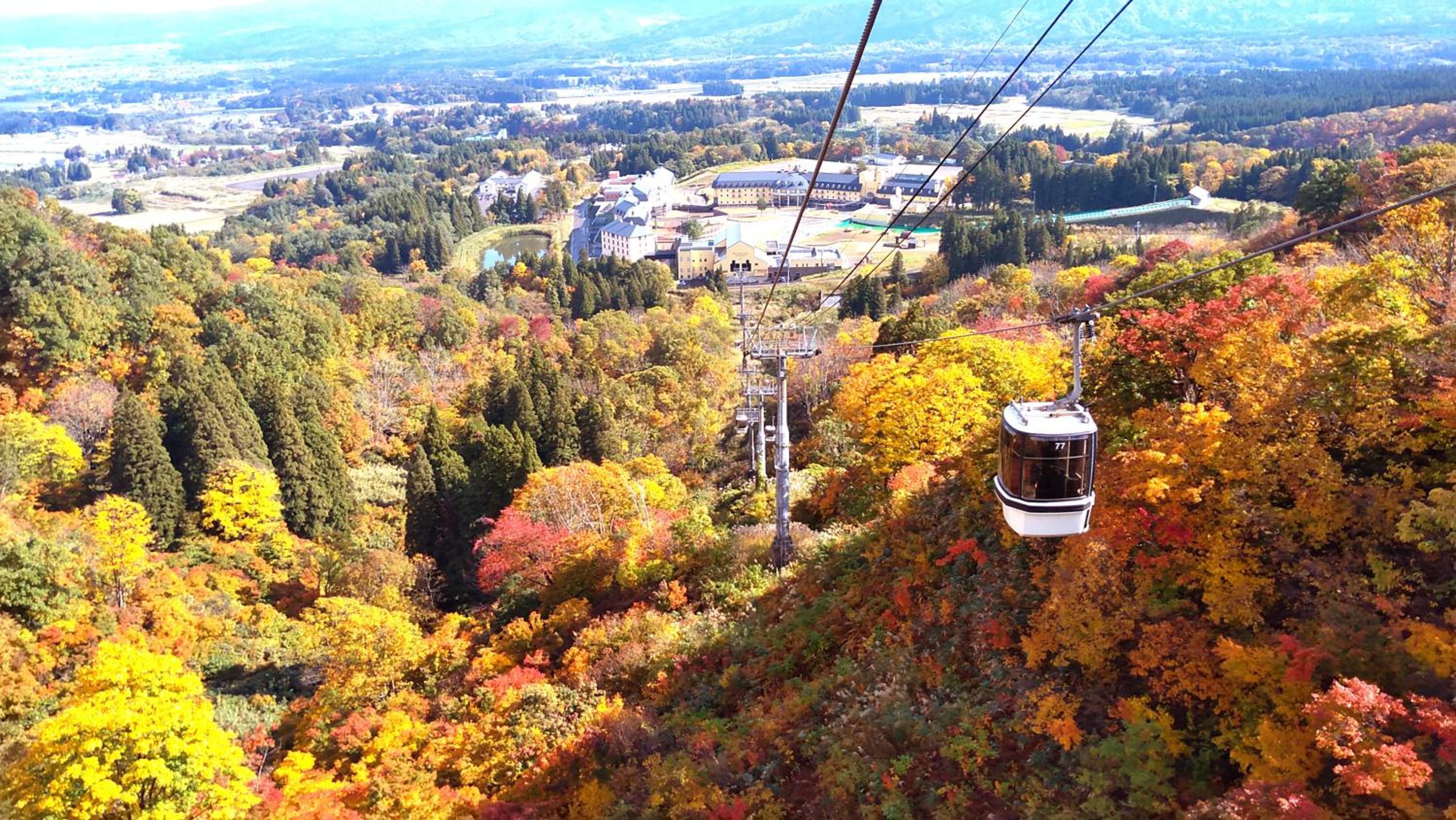 Lotte Arai Resort