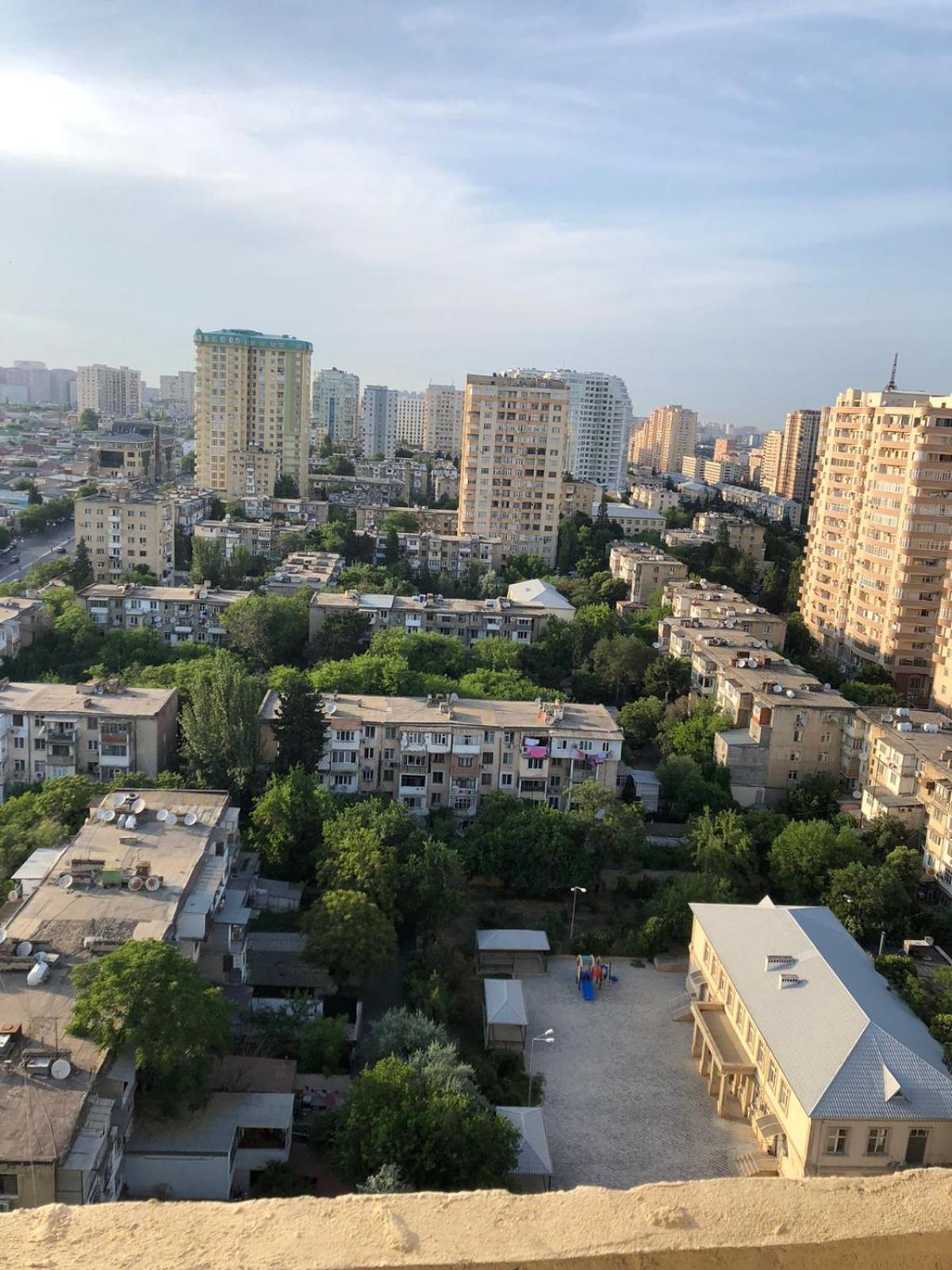 Elmlar Aynur