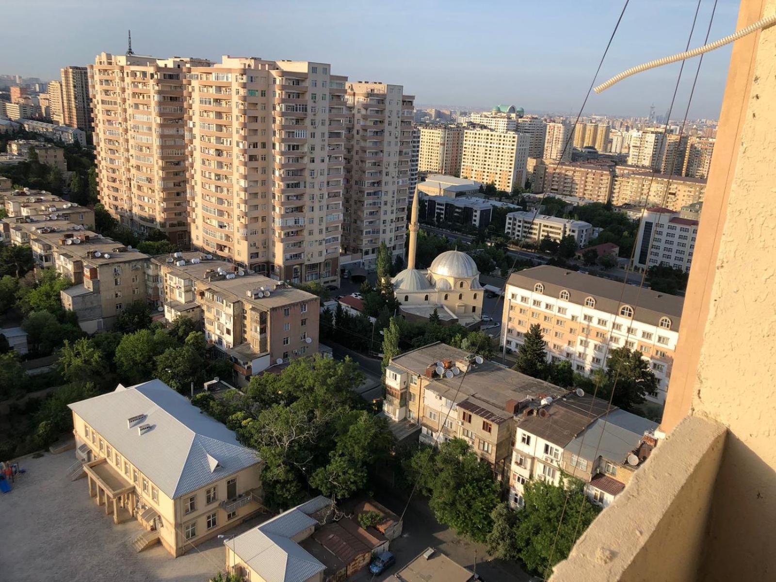 Elmlar Aynur