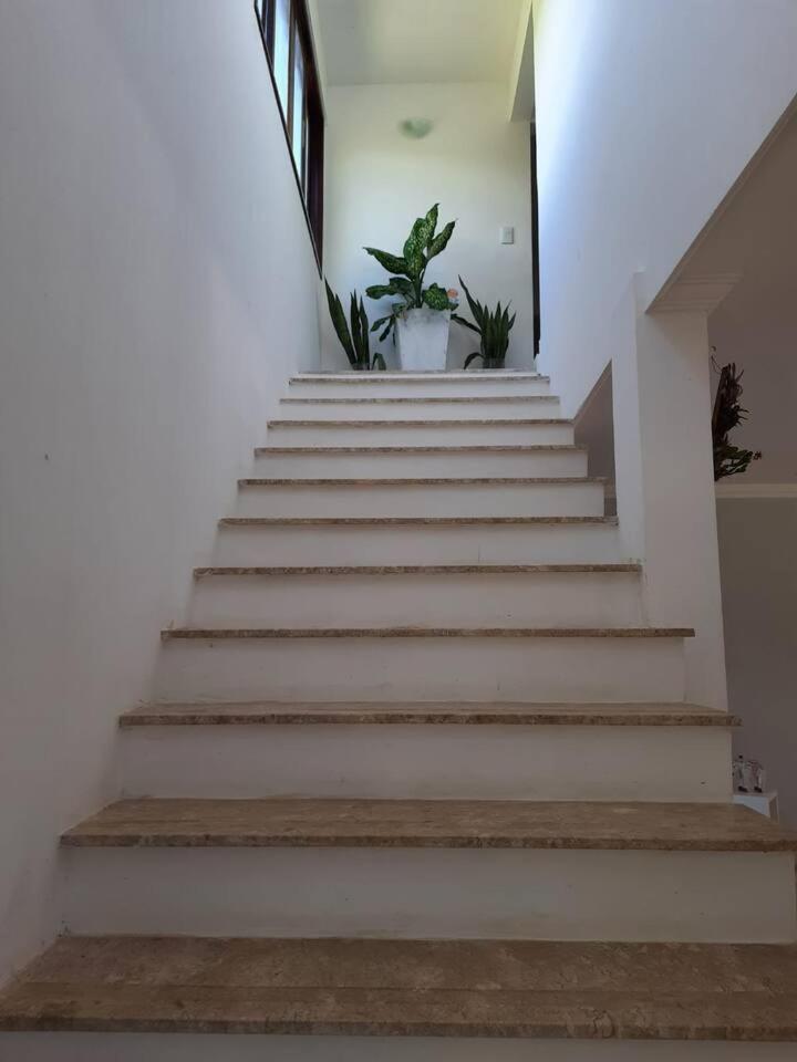Casa do paiva
