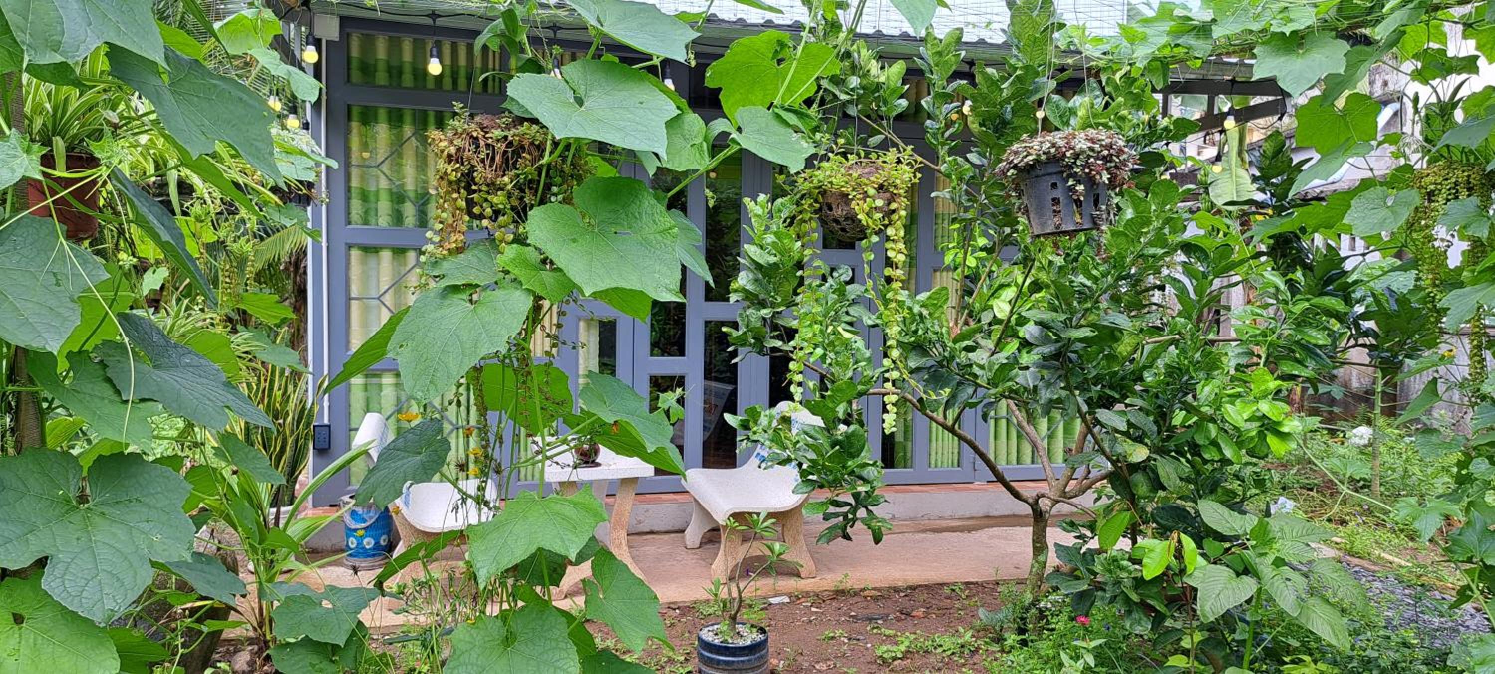Coco Happy Farm view 4