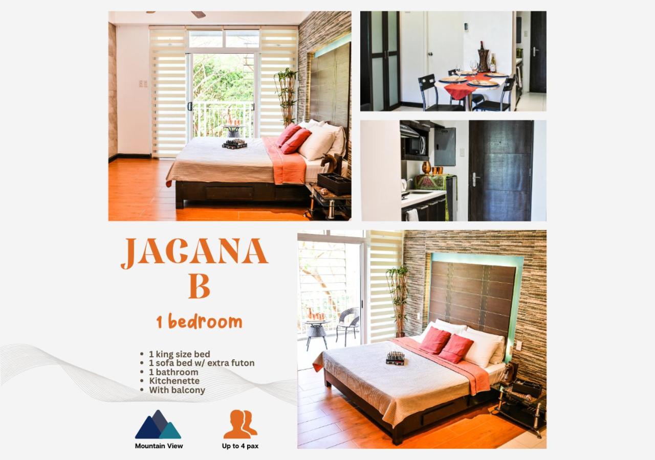 Pico de Loro Hamilo Coast by Beach Homes view 5