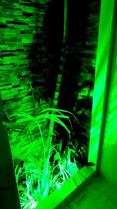 Photo 32