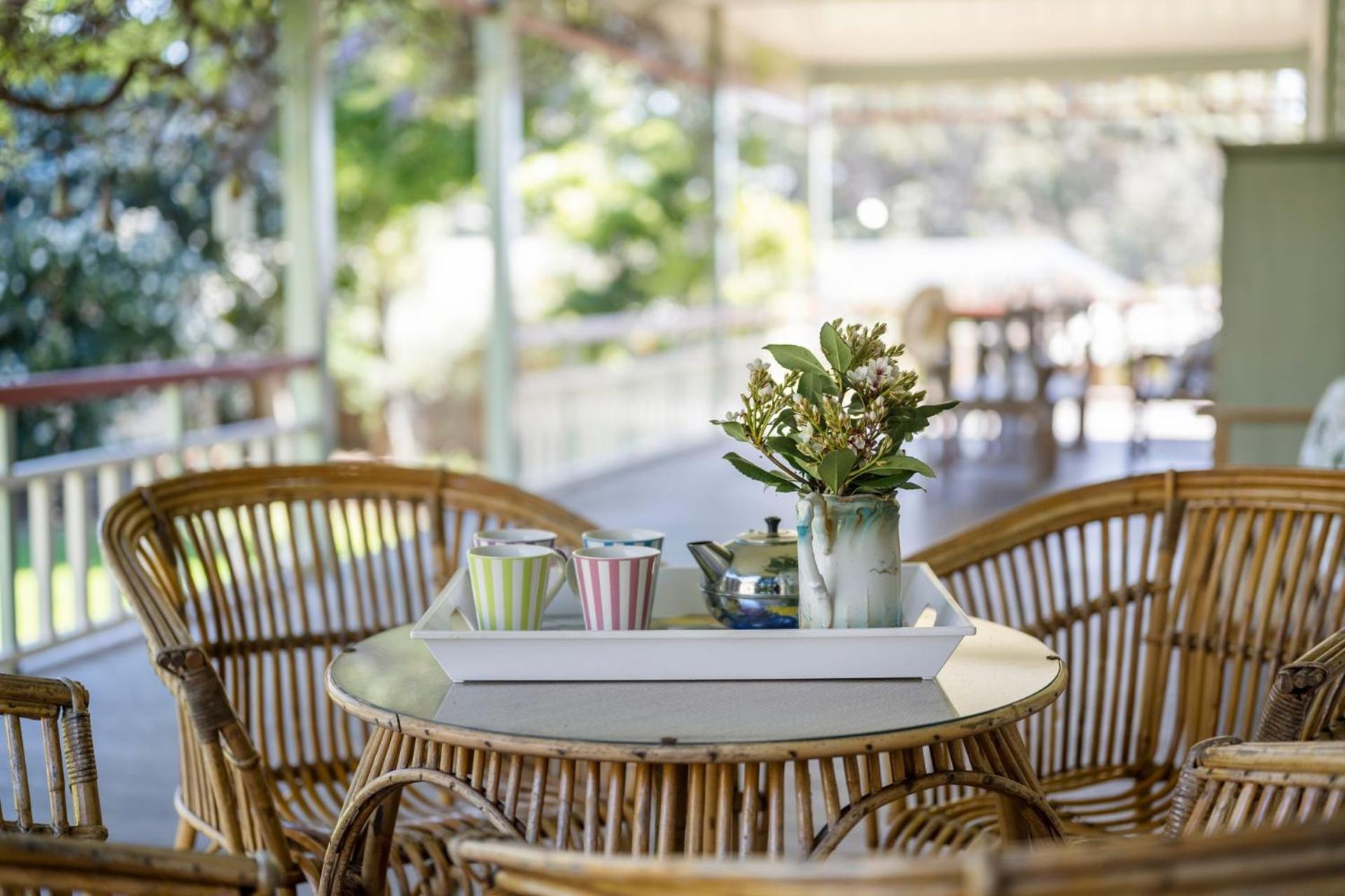 balance & terrace