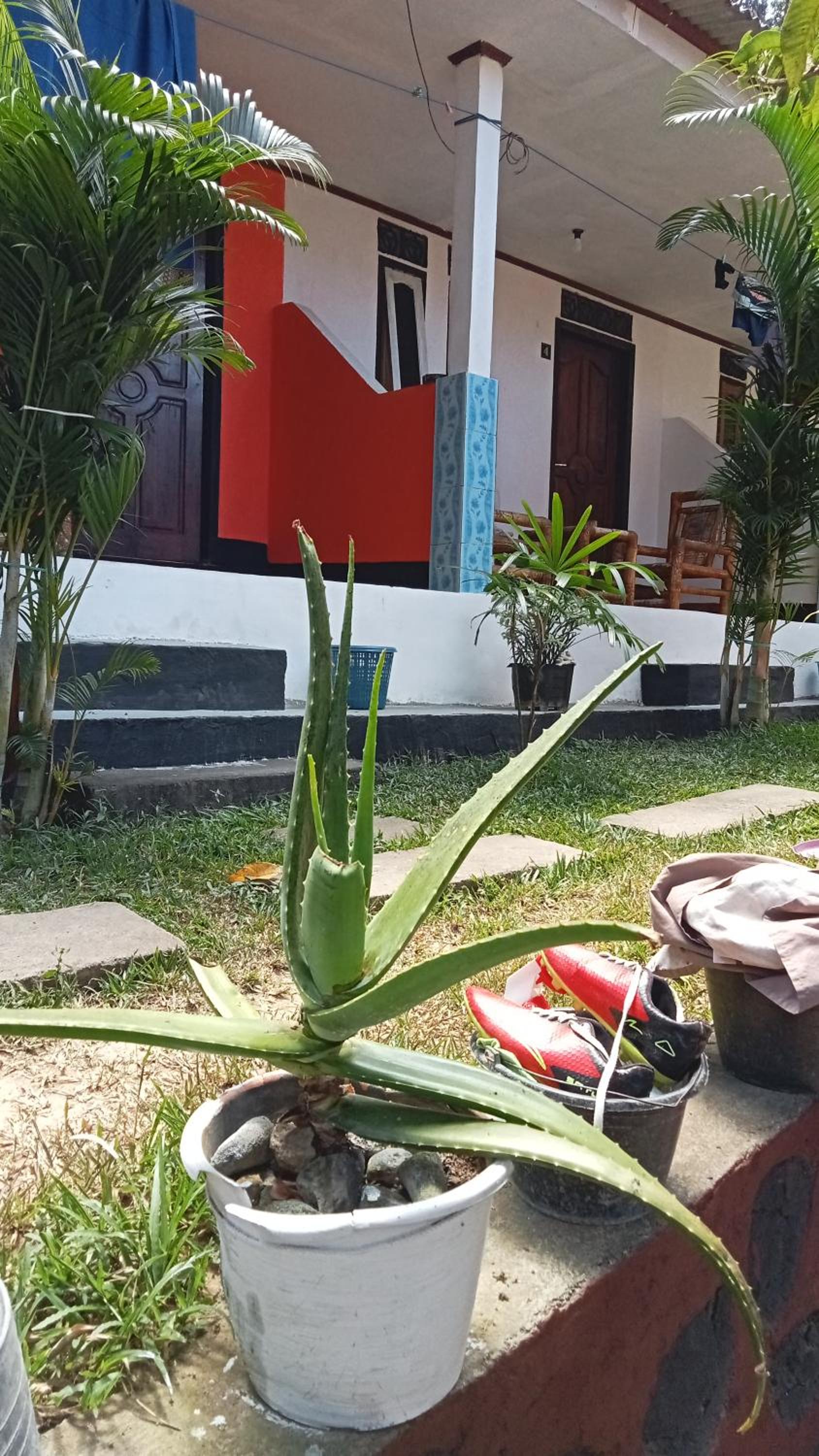Photo 21
