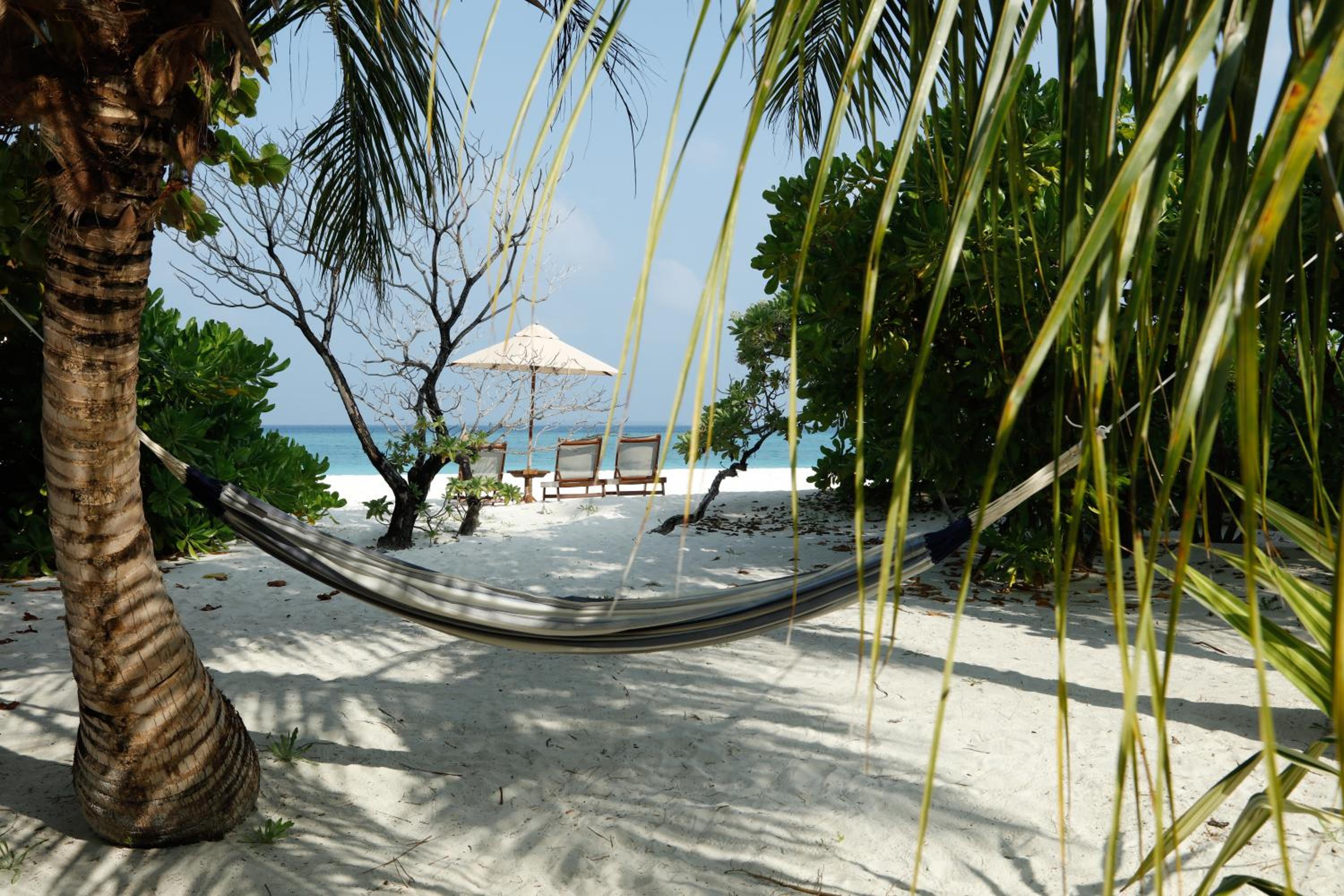 The Barefoot Eco Hotel