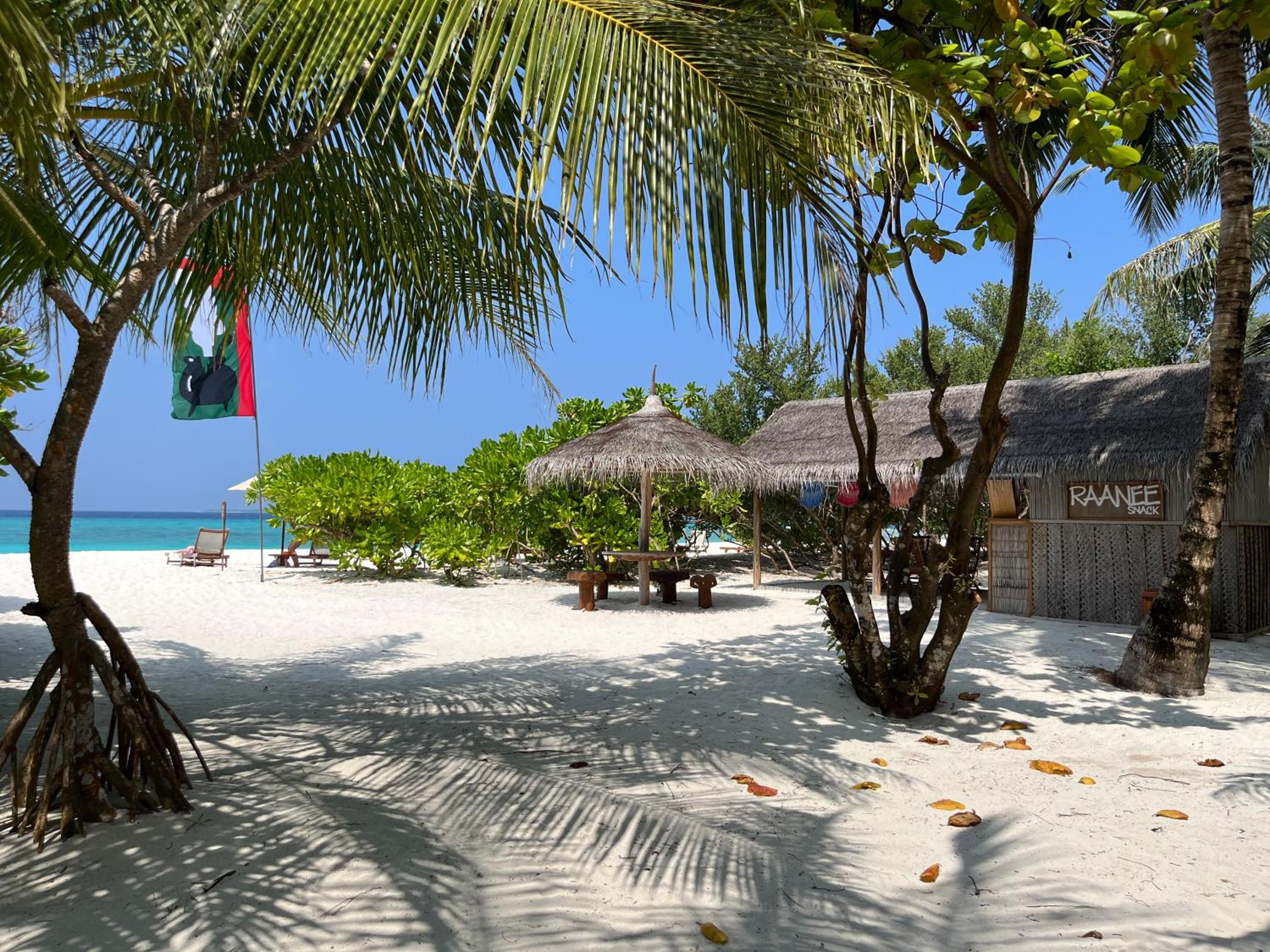 The Barefoot Eco Hotel