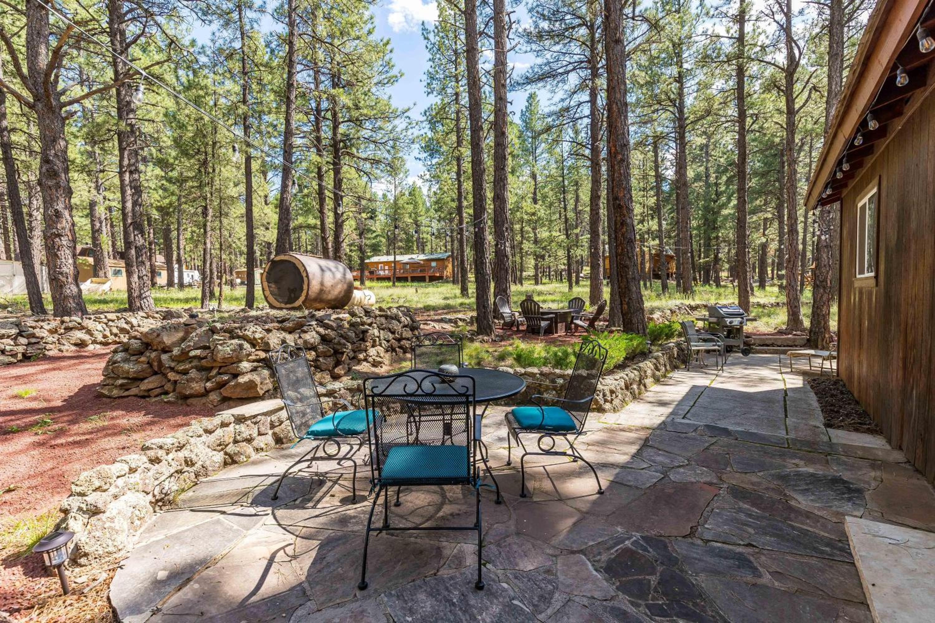 Beat The Heat, Book Now! Rogue Bear Cabin view 2