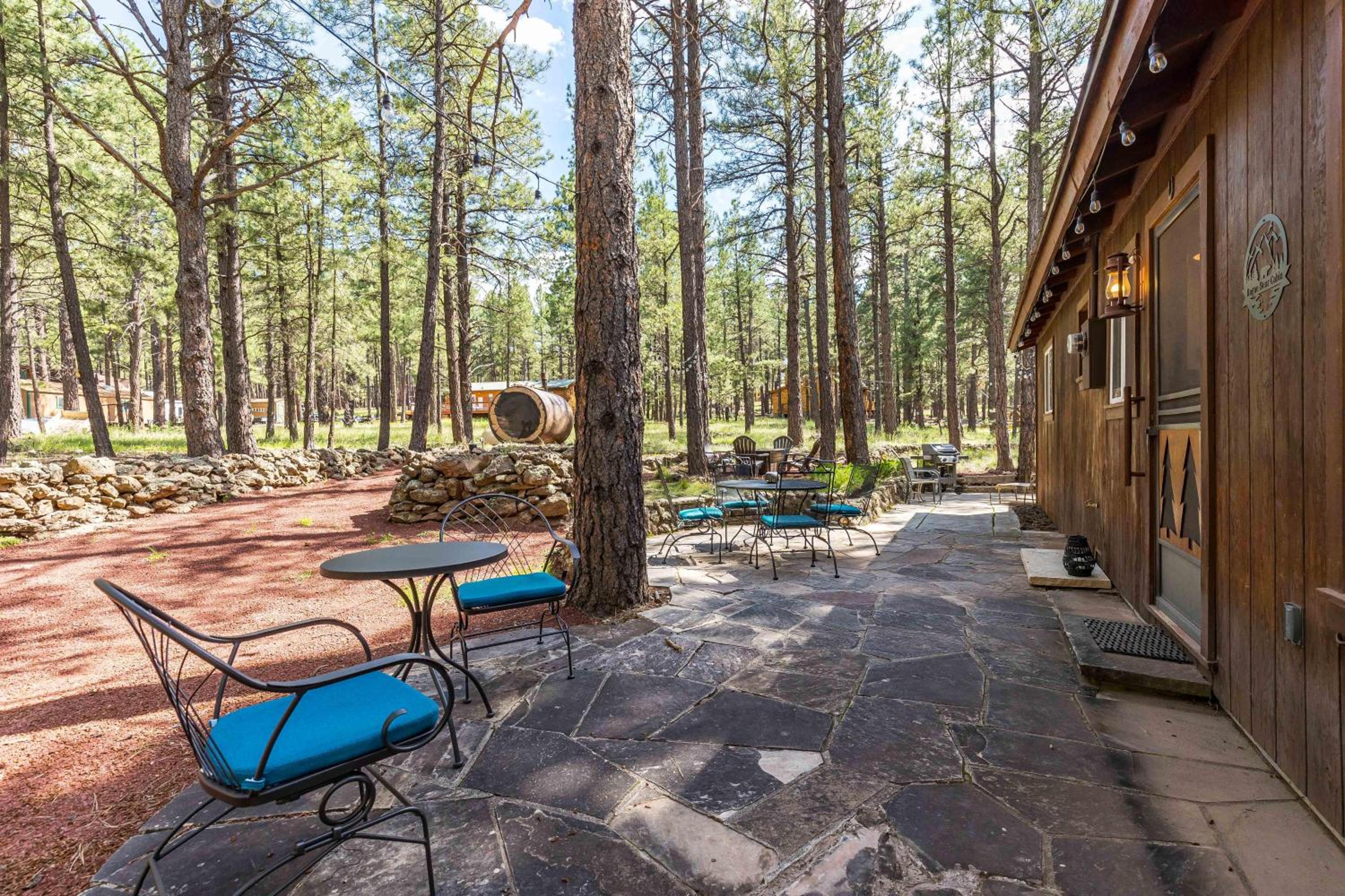 Beat The Heat, Book Now! Rogue Bear Cabin view 4