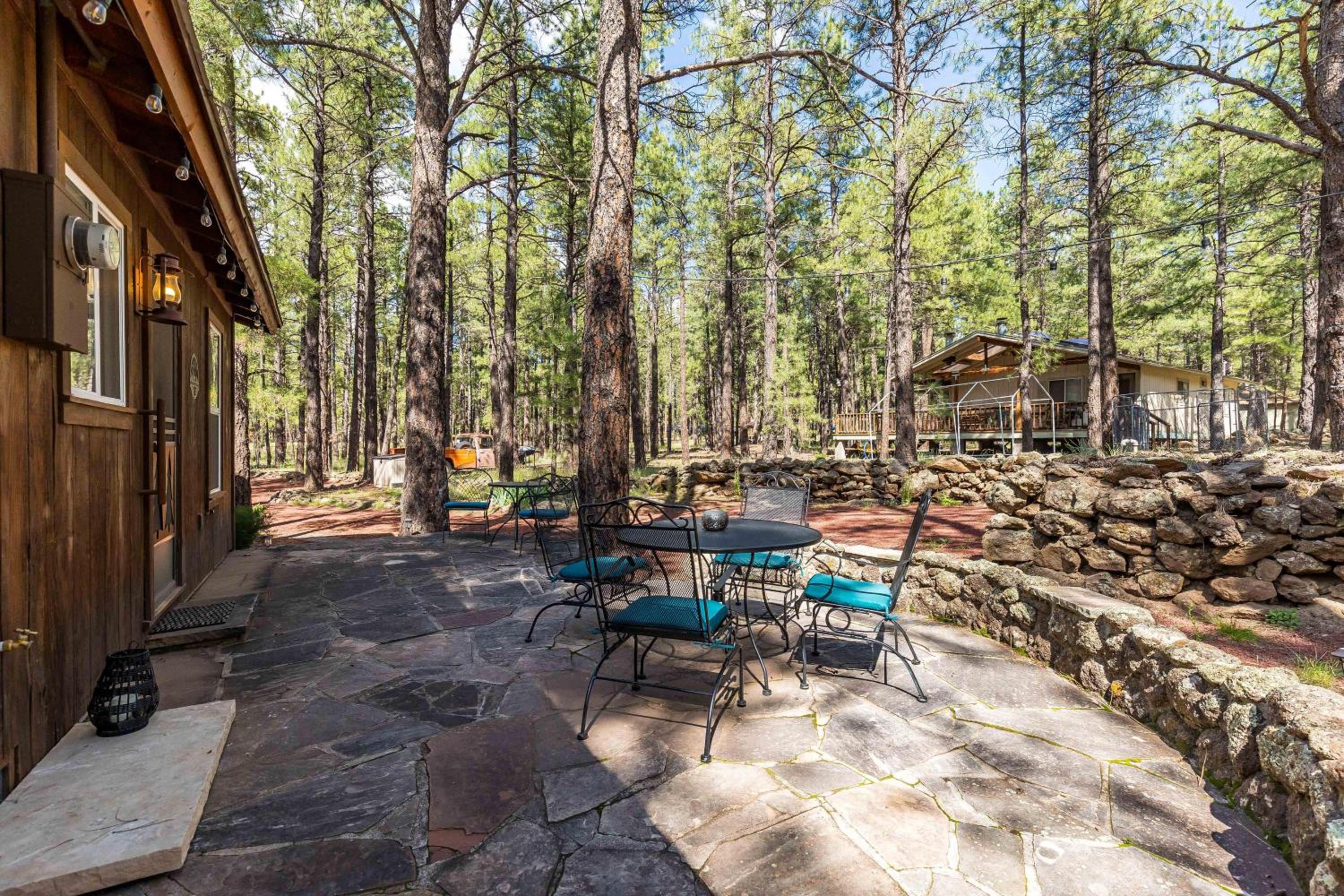Beat The Heat, Book Now! Rogue Bear Cabin view 5