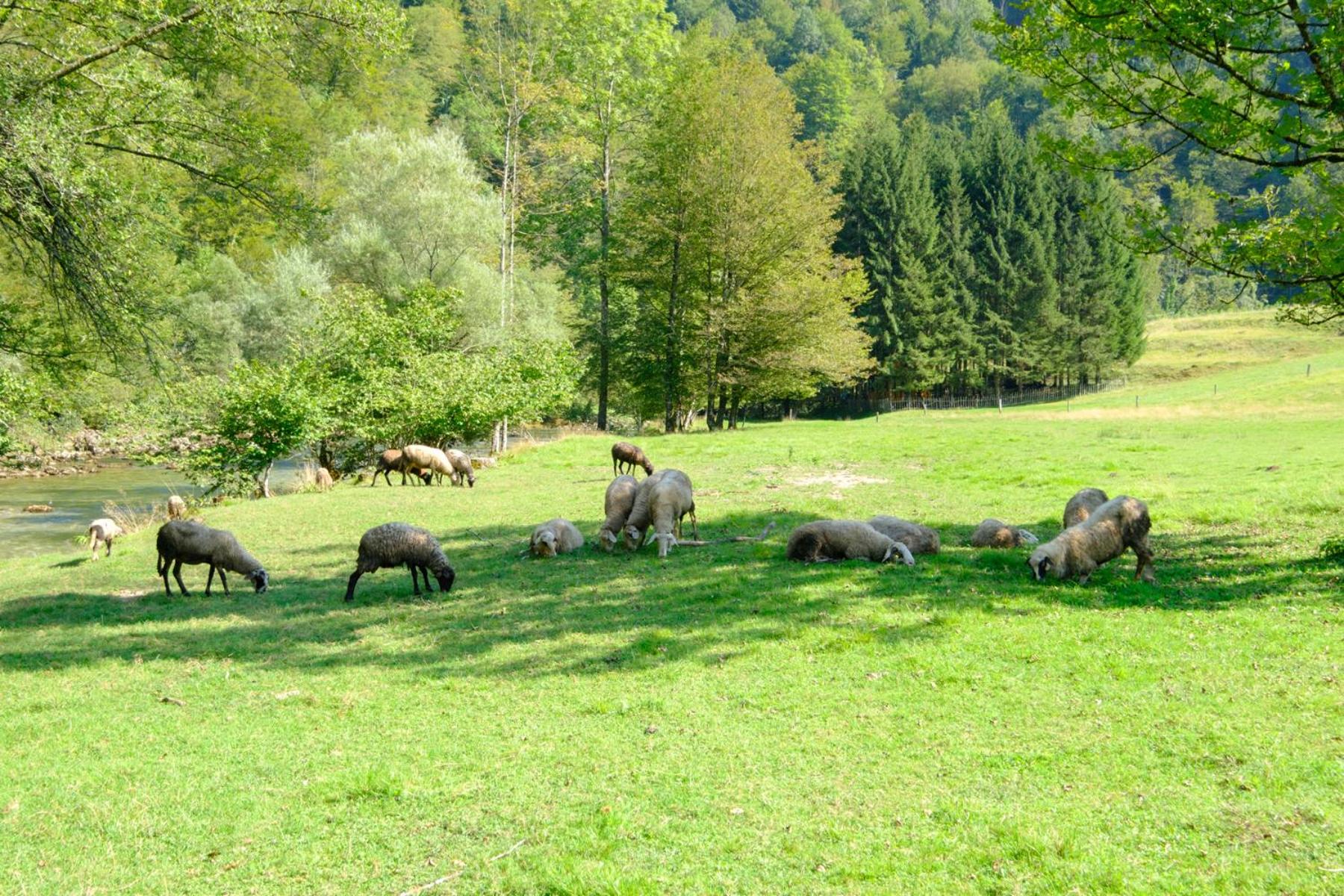 Treehouse KUPARI Nacionalni park Risnjak