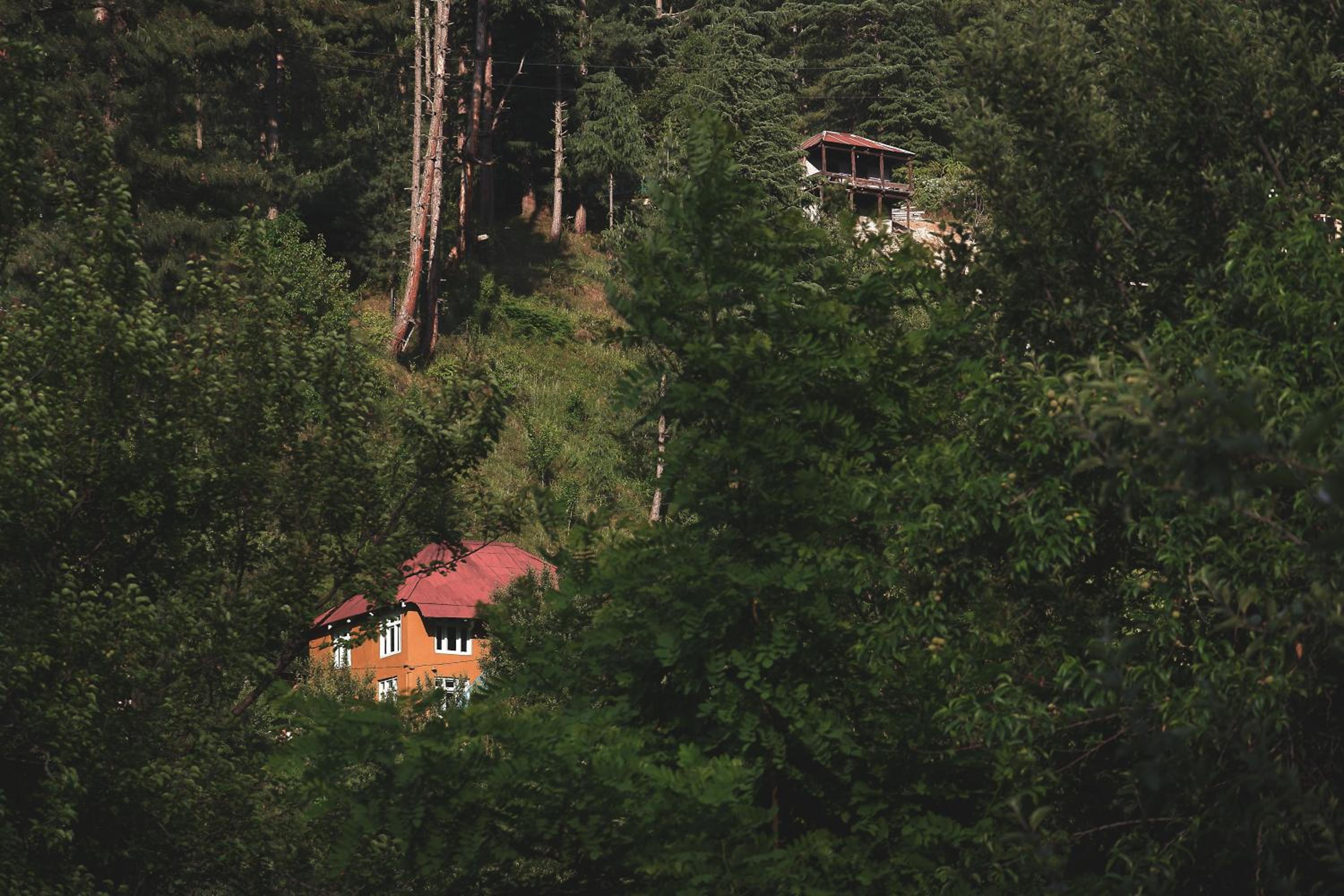 Mountain Goats Homestay