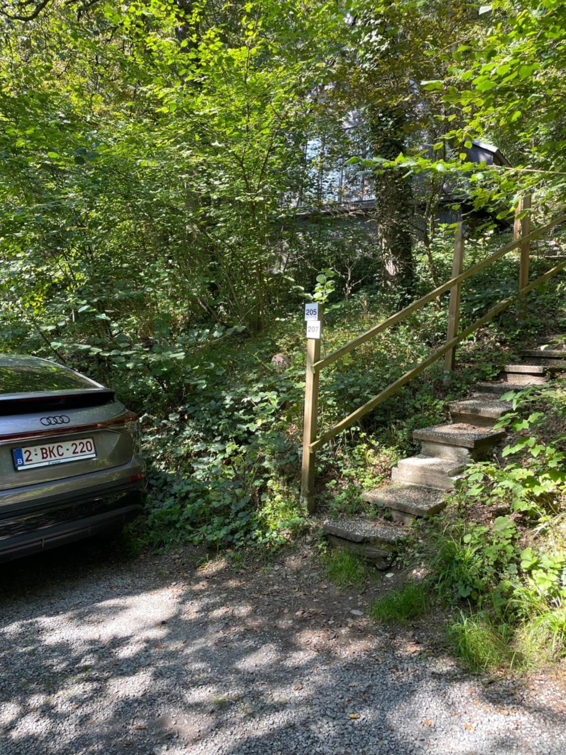 Photo 44