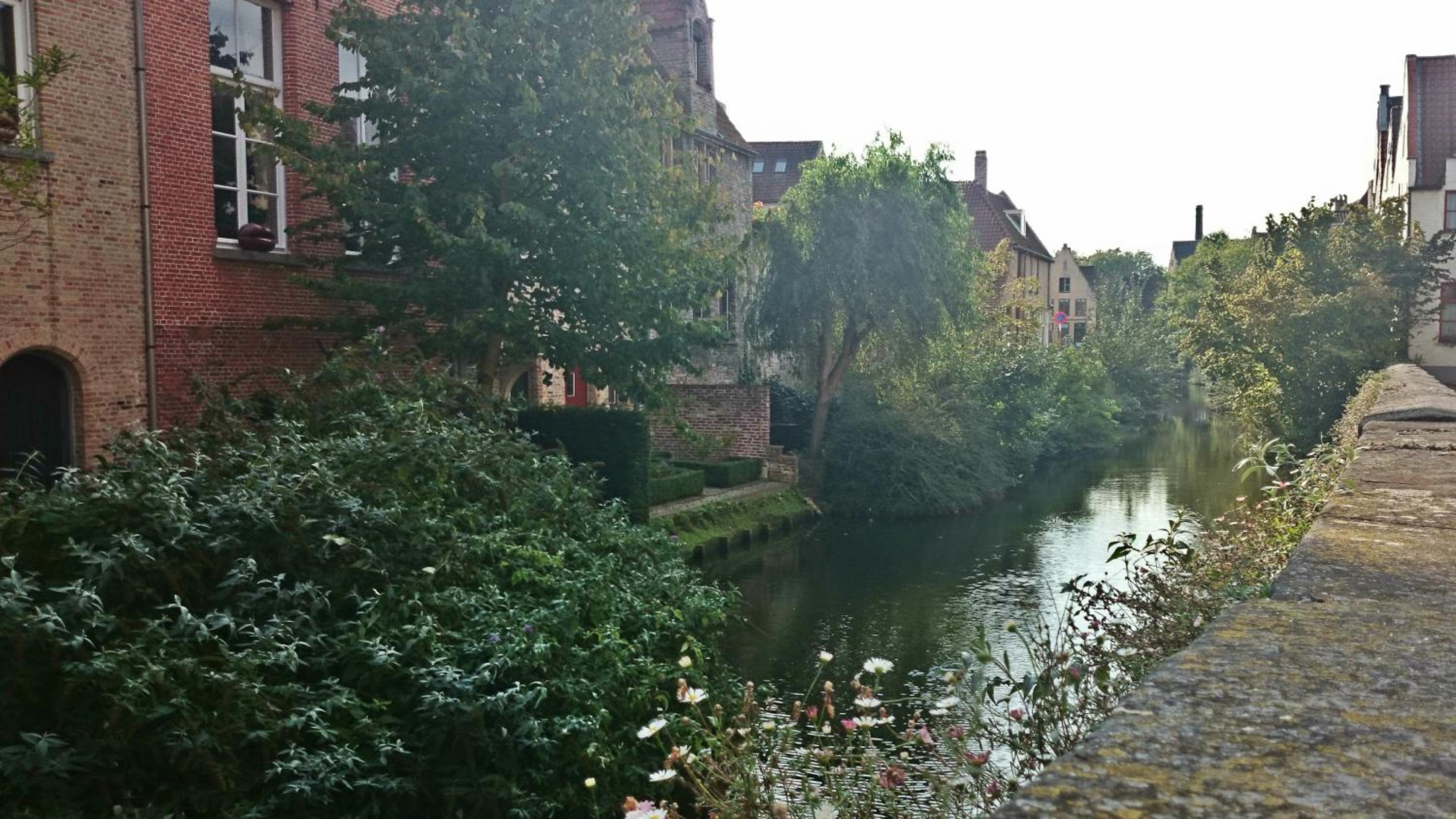 Guesthouse Vlamynckpoort