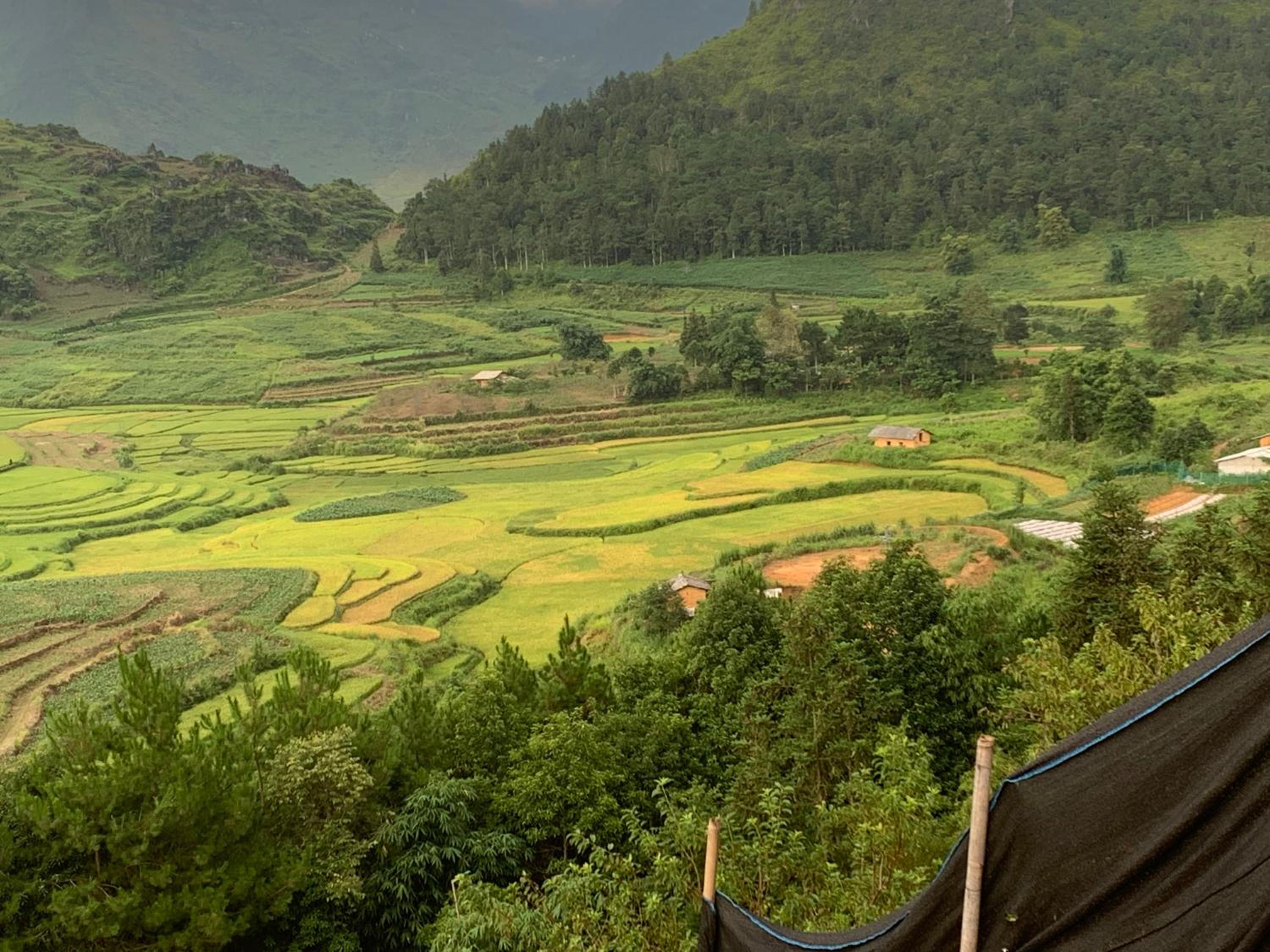 Hoàng homestay