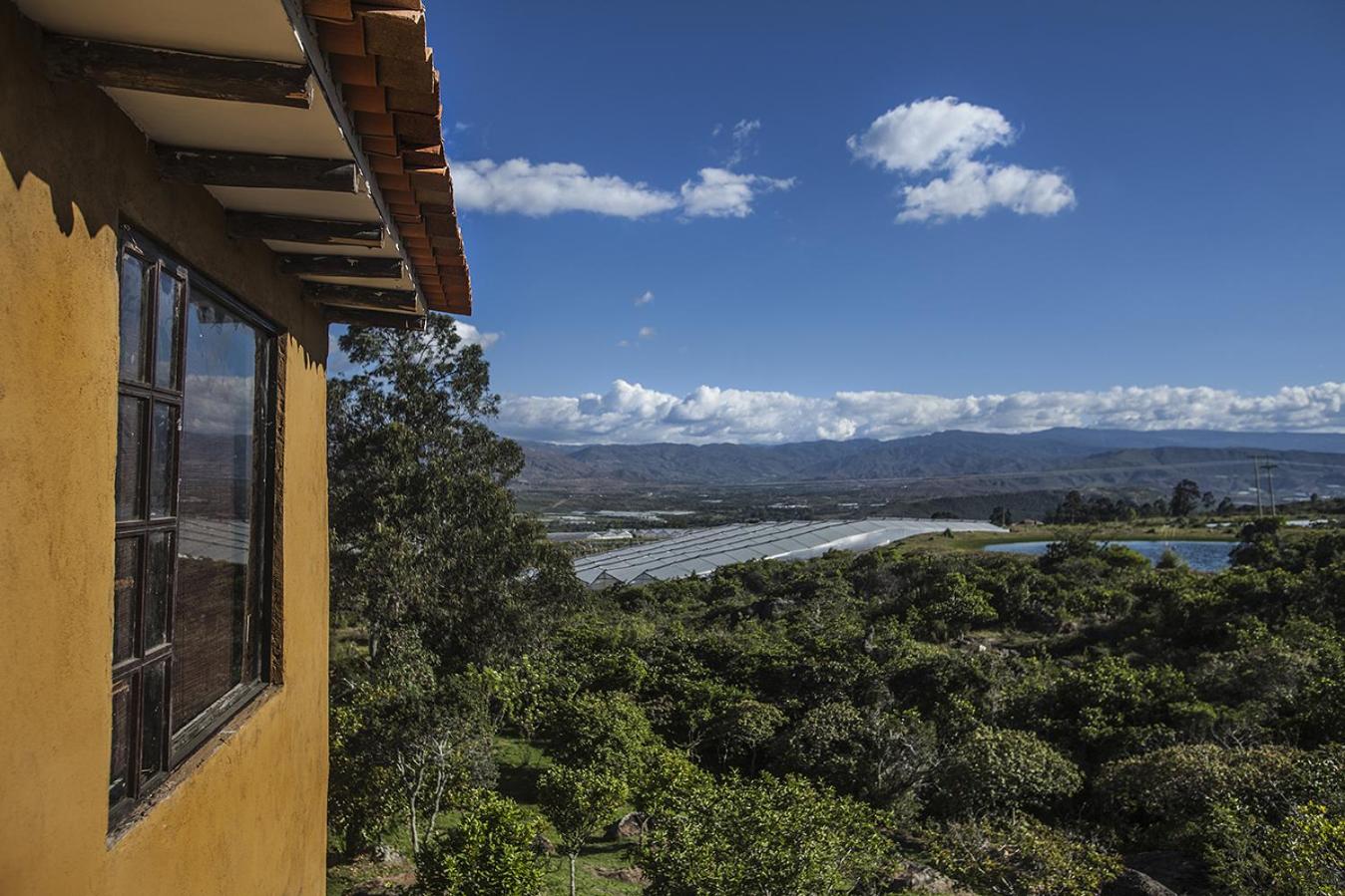 Villa de Leyva da Cecy