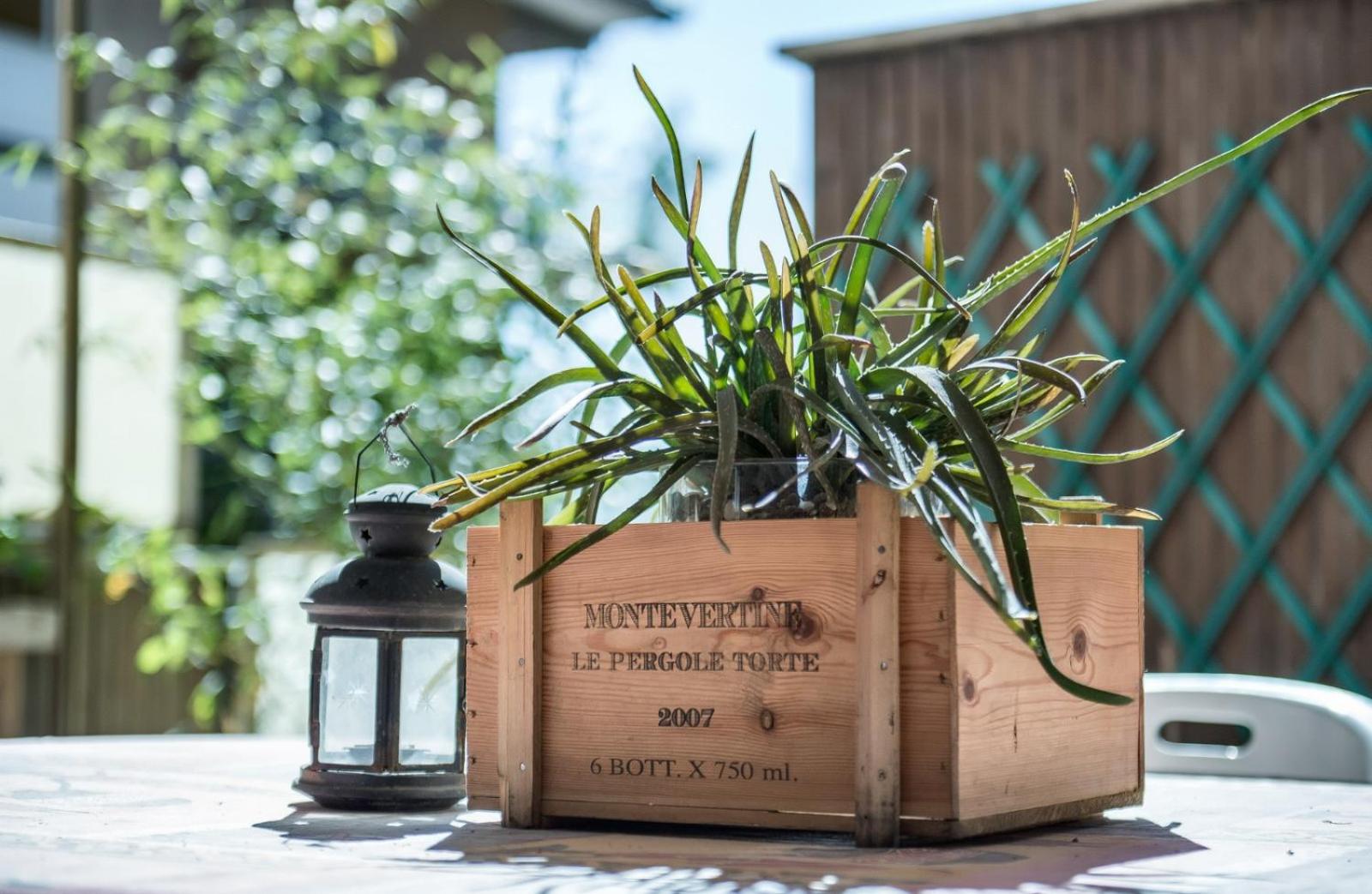 Appartamento con giardino via silvestri