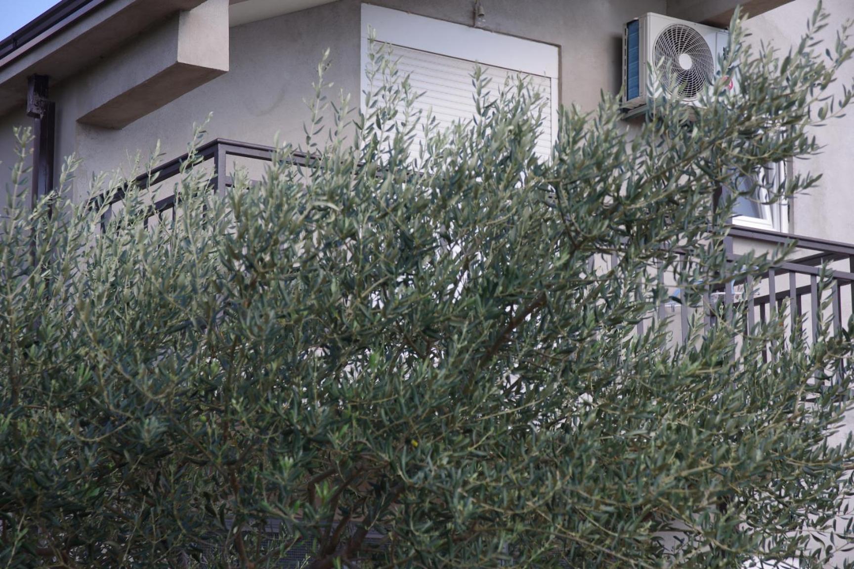 Apartman 'Maslina'