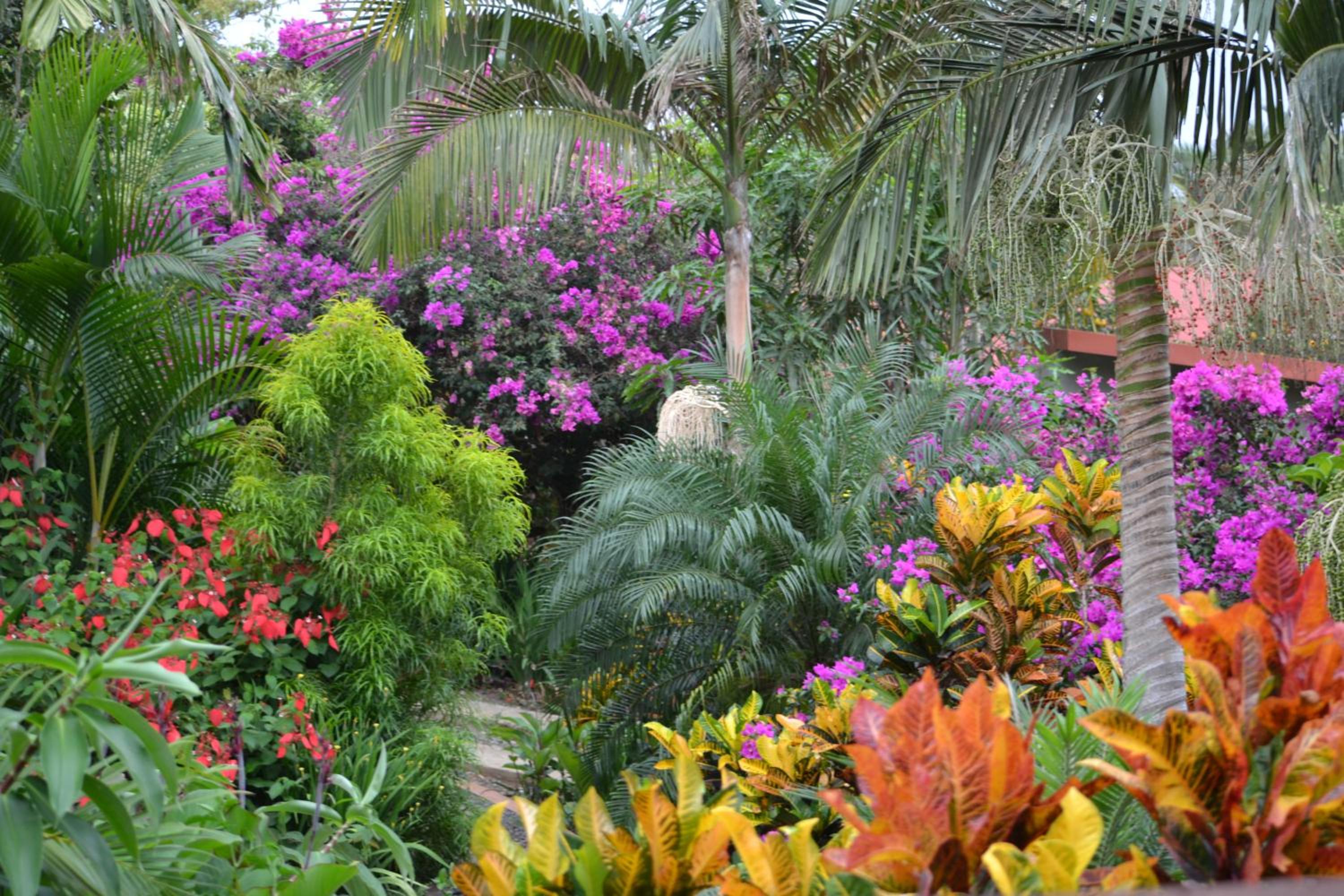 Eden Atenas Costa Rica