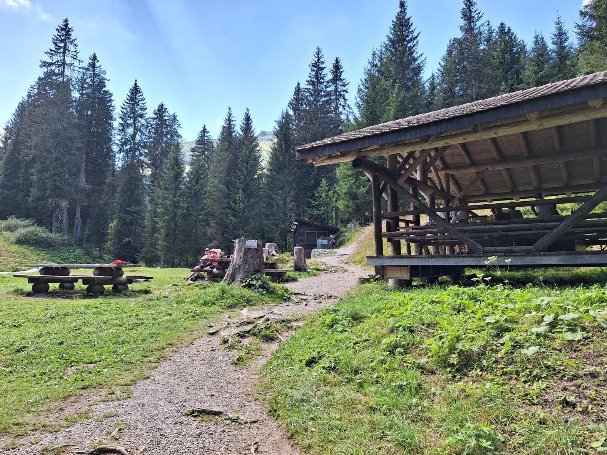 Appartement plus Pool, Morgins, Portes du Soleil