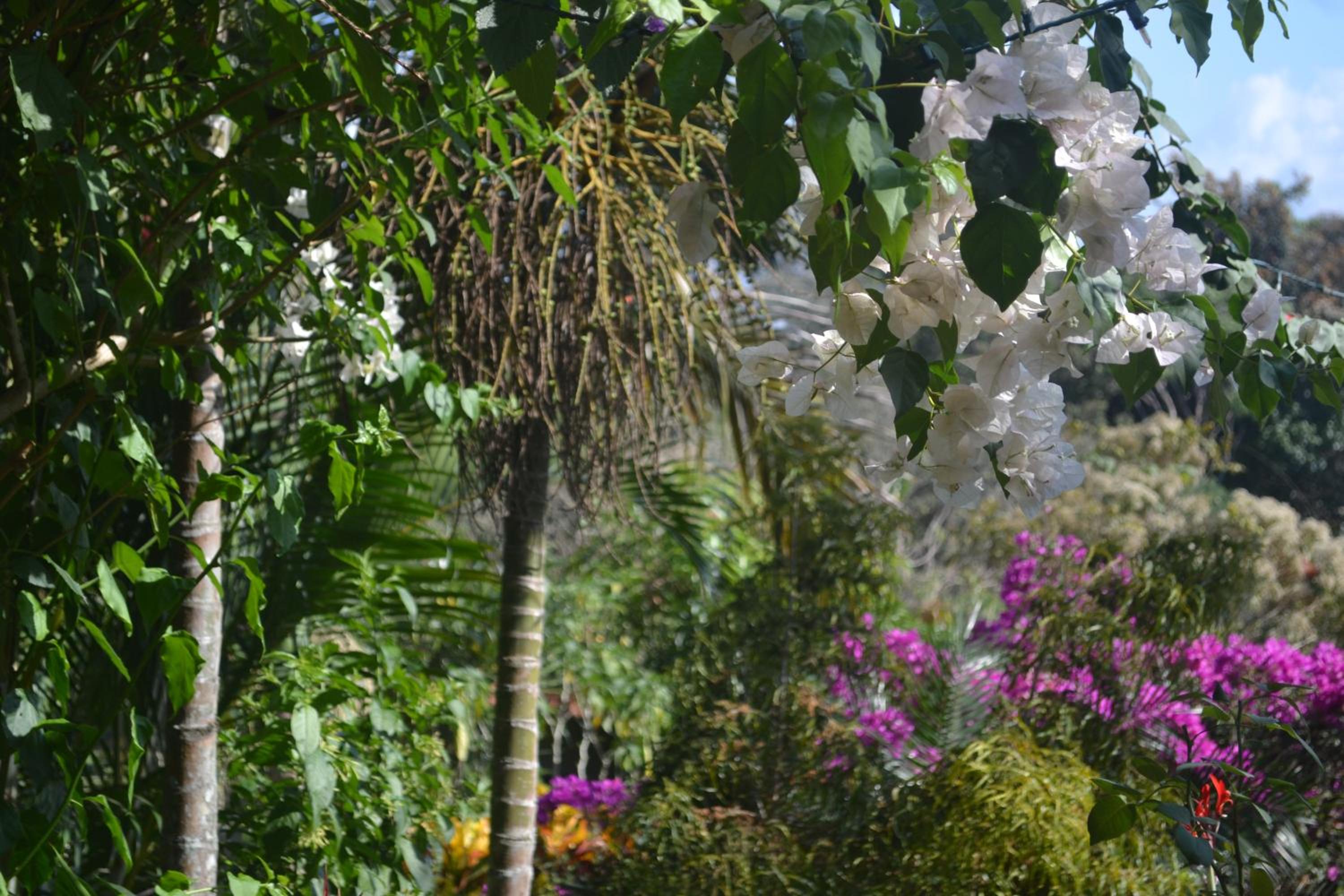 Eden Atenas Costa Rica