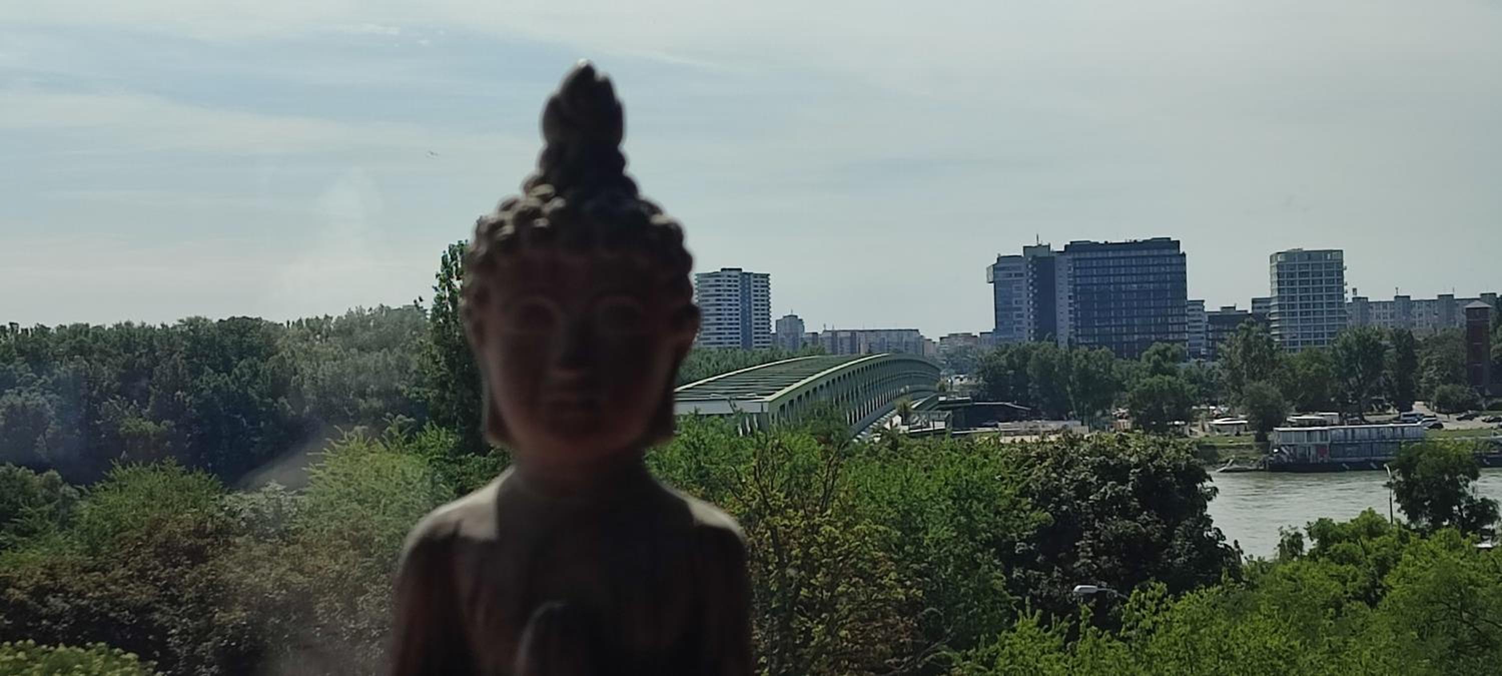 Danube Riverside Apartment with quite workplace view 5