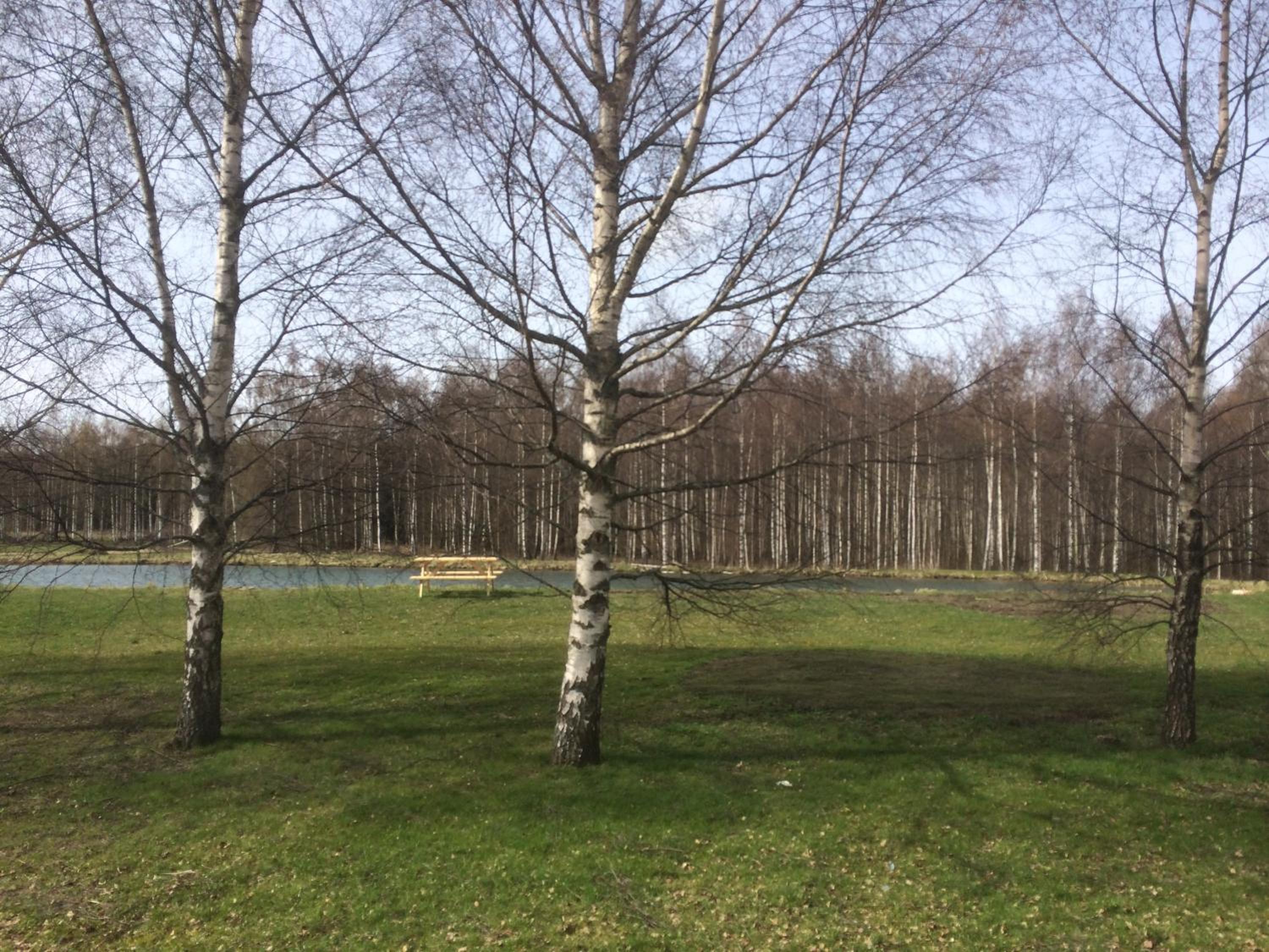 Photo 29