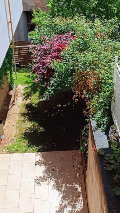 Spacious Condo near Baščaršija - Free Parking