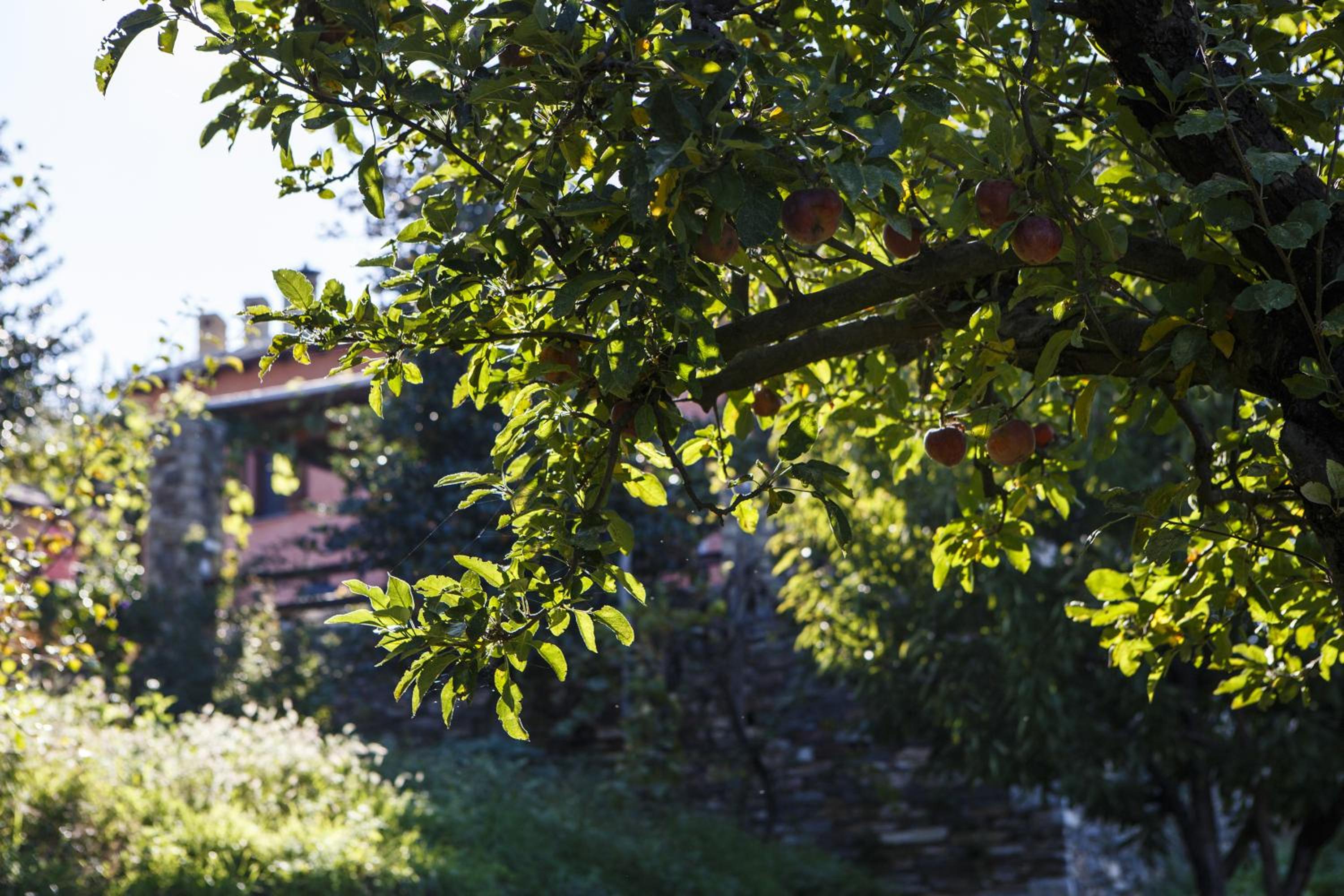 Kalderimi Country House