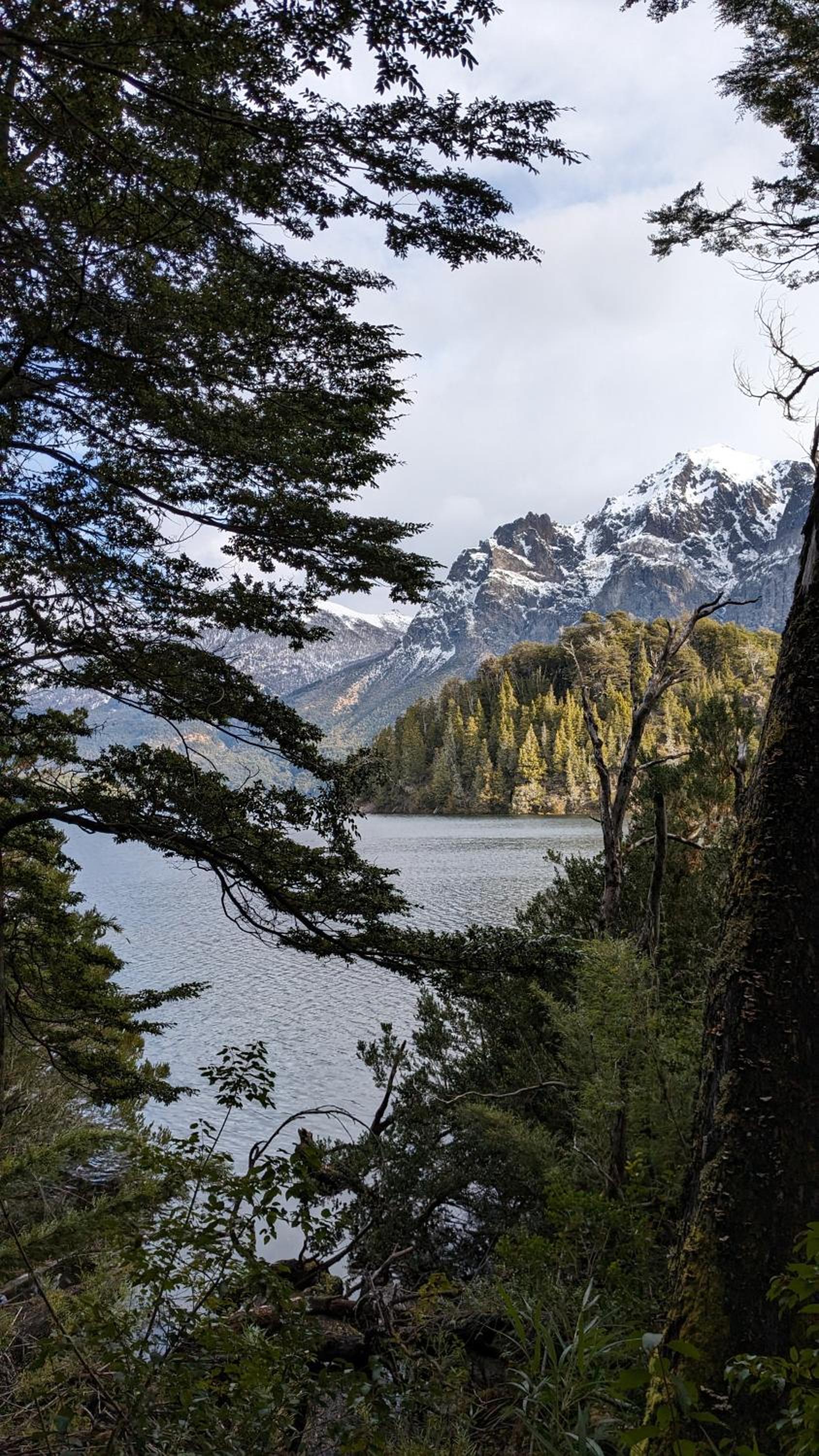 El Bosque